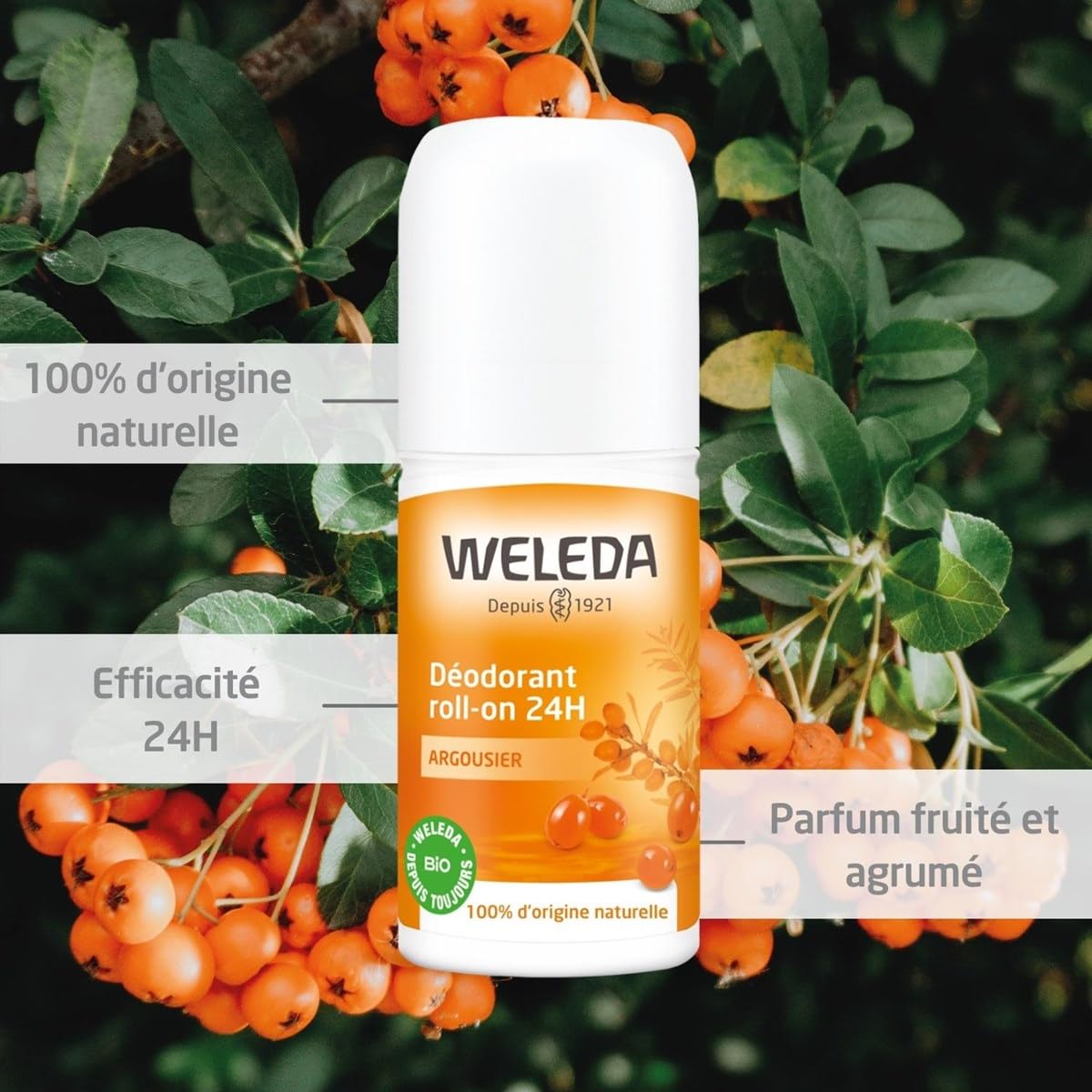 Weleda Sea buckthorn 24h roll-on deodorant