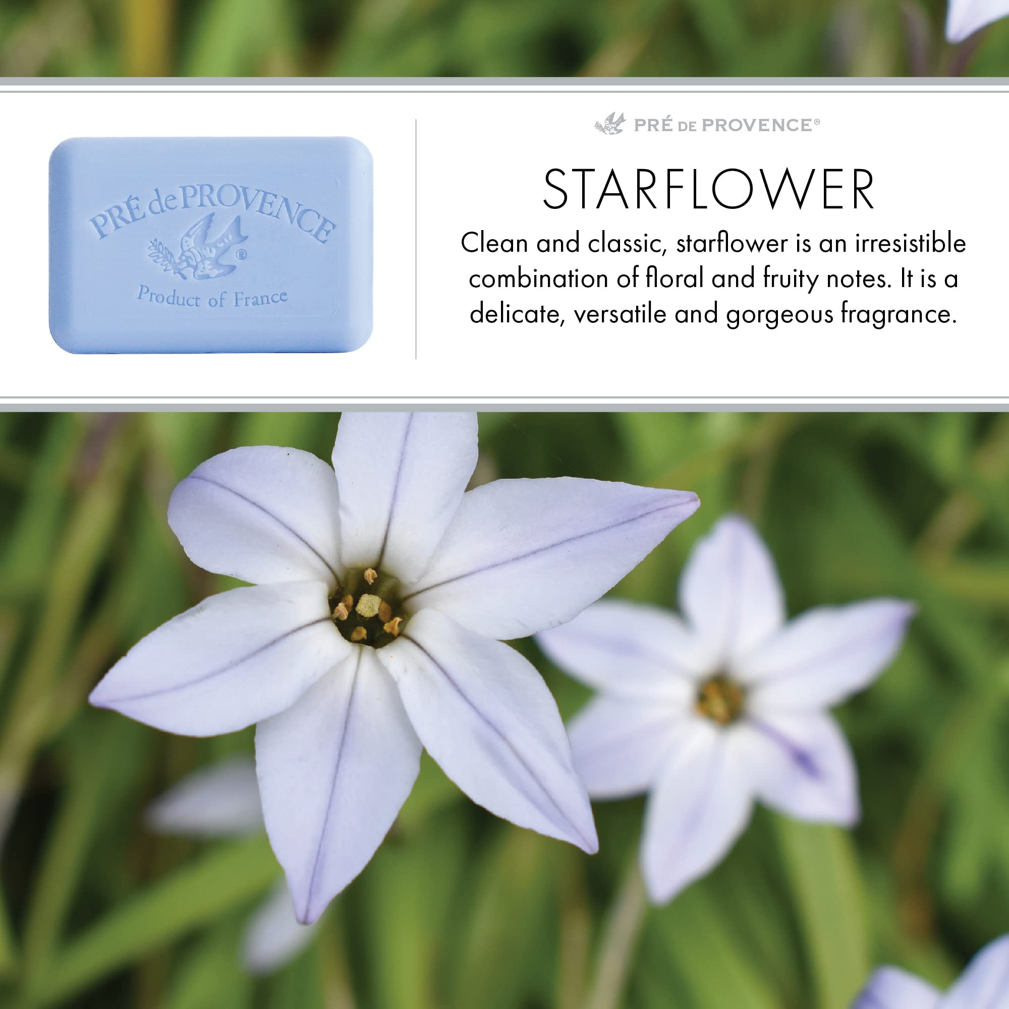 Pre de Provence Artisanal French Soap Bar Enriched with Shea Butter, Starflower, 150 Gram
