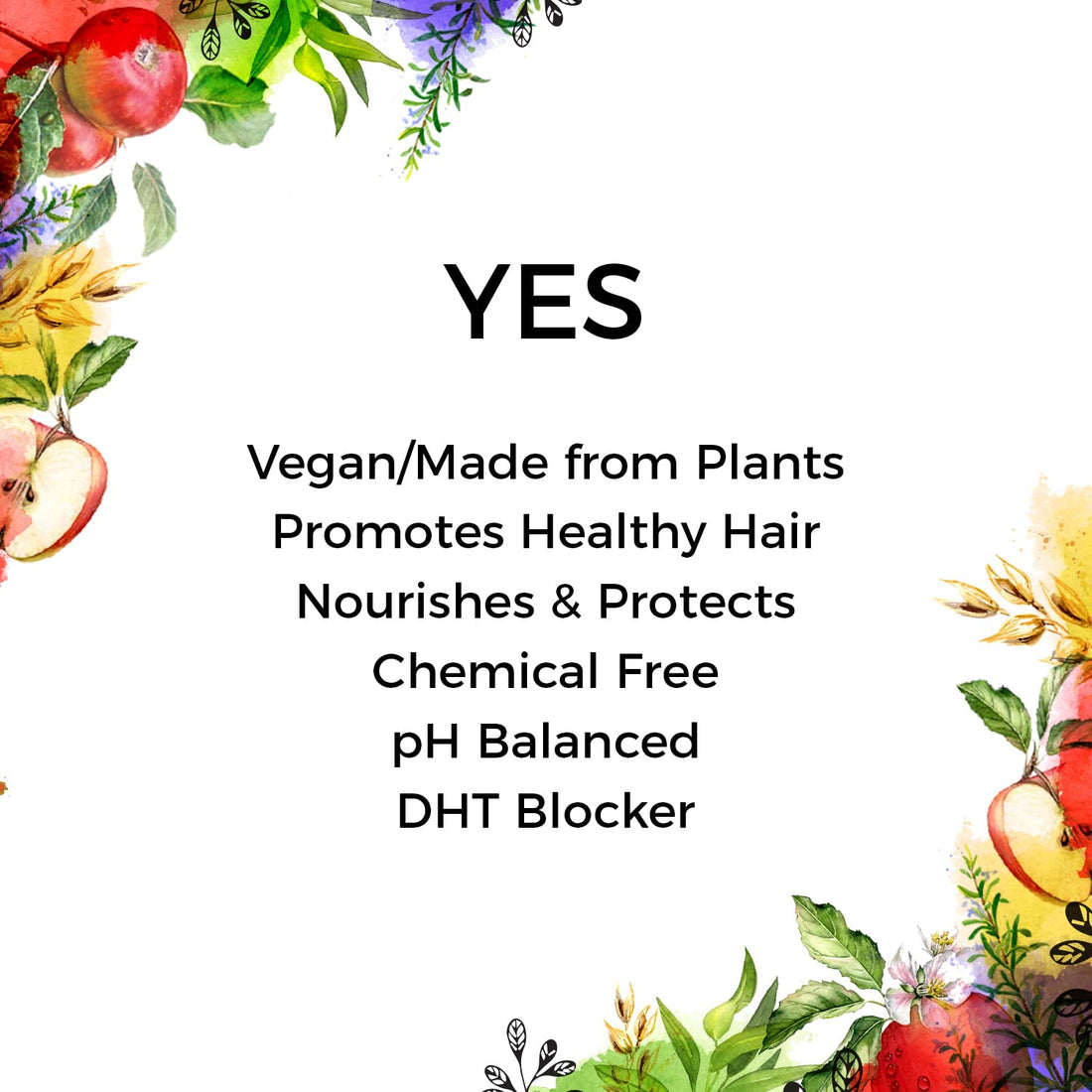 Apple Cider Vinegar, Tea Tree & Rosemary Shampoo - Sulfate Free, Natural & Organic Shampoo for Oily Hair, Dandruff, Itchy Scalp & Thinning Hair - Ideal for Women & Men with Dry Scalp & Grey Hair