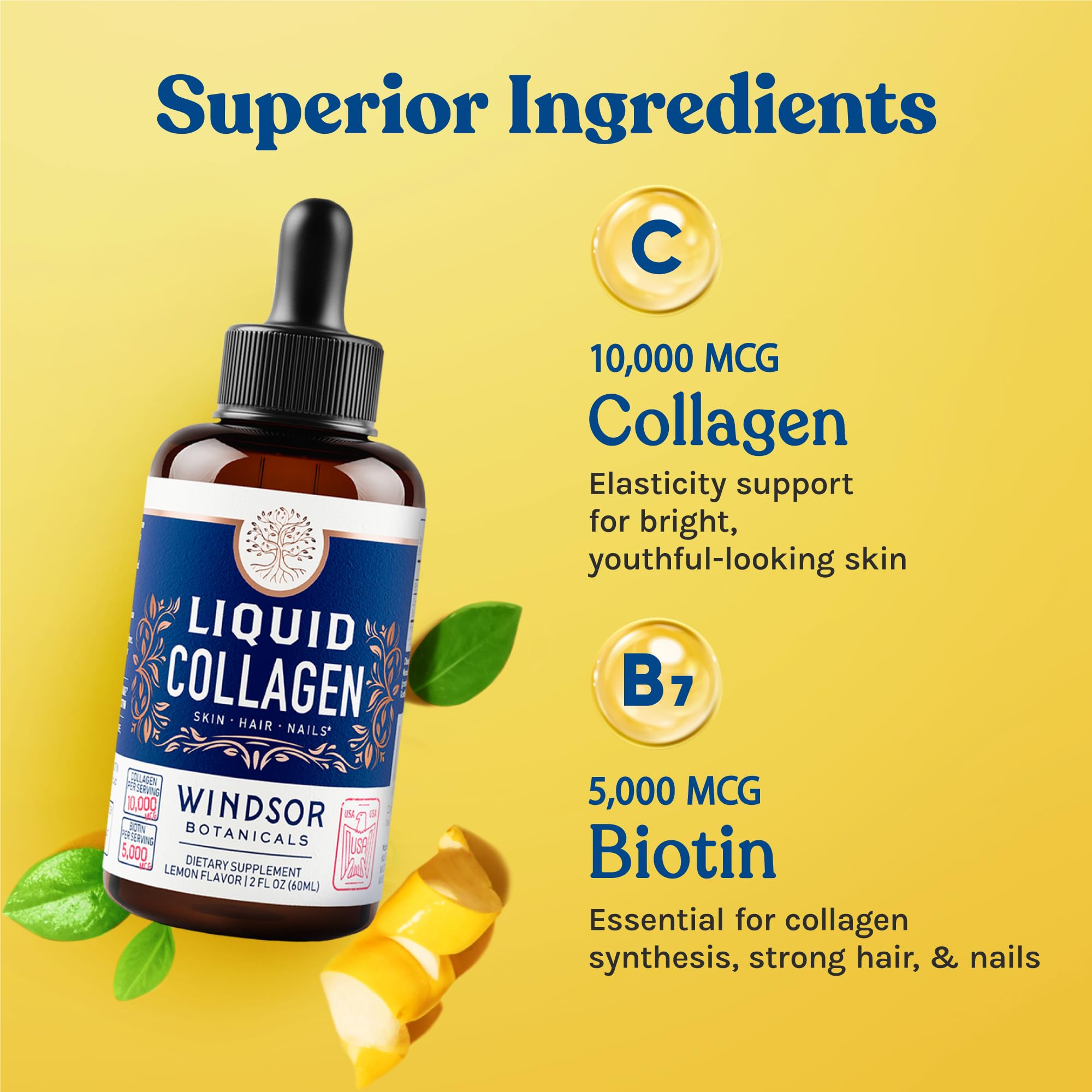 Concentrated Liquid Collagen Peptides Supplement - Hair, Skin, Nail, Joints Support - Sublingual Drops by WINDSOR BOTANICALS - 10,000mcg Collagen, 5,000mcg Biotin - Lemon Flavor - 2-Month - 2 oz
