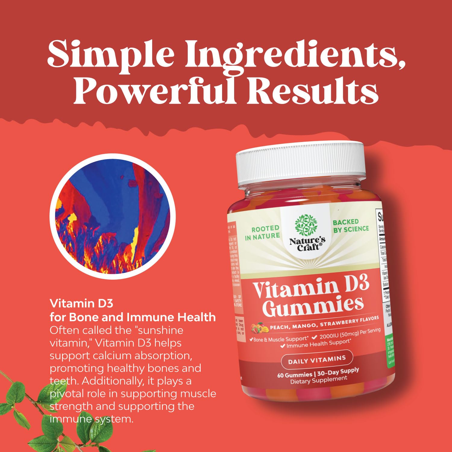 Natures Craft Vitamin D3 Gummies for Daily Wellness - Delicious D Adults with 2000IU per Serving Bone Muscle & Immune Support Non-GMO Gelatin Gluten Free (30 Day Supply)