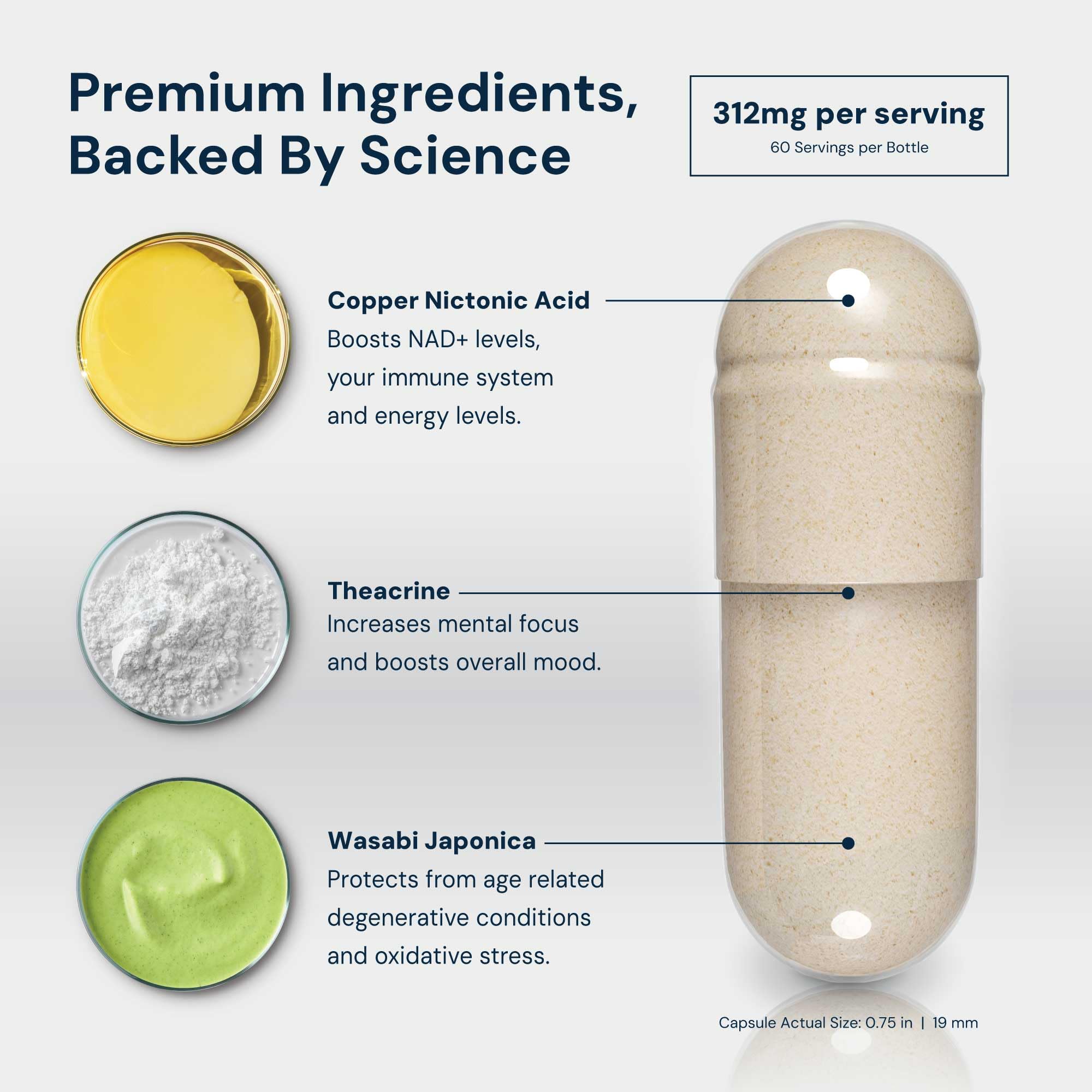 HPN Supplements NAD3 NAD+ Booster | Size 2 Month Supply | Clinically Proven & Independently Tested - Metabolic Repair | 312 mg/ Serving - 120 Capsules