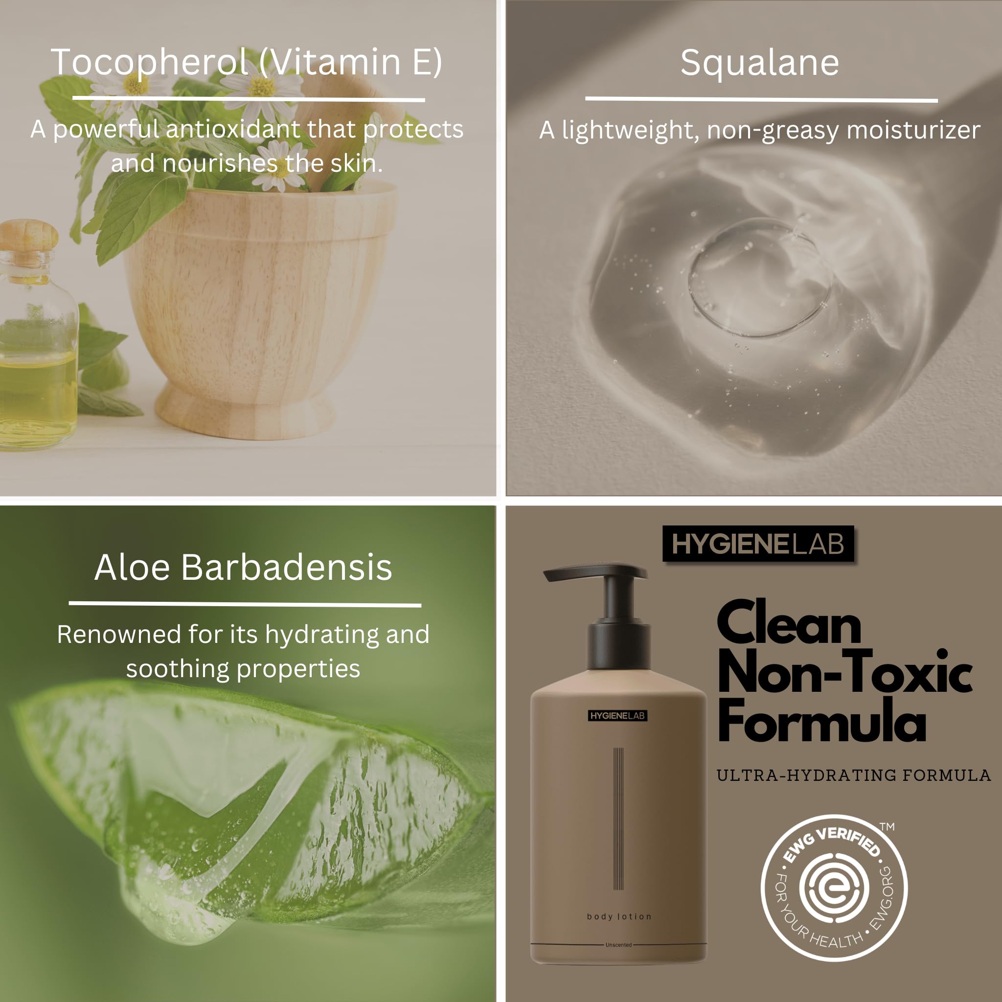 HygieneLab Body Lotion for Men – EWG Verified, Ultra Hydrating, Non-Toxic, Fast-Absorbing, Fragrance-Free, Unscented, Paraben-Free, Sulfate-Free, Daily Moisturizer for Dry & Sensitive Skin, 12oz