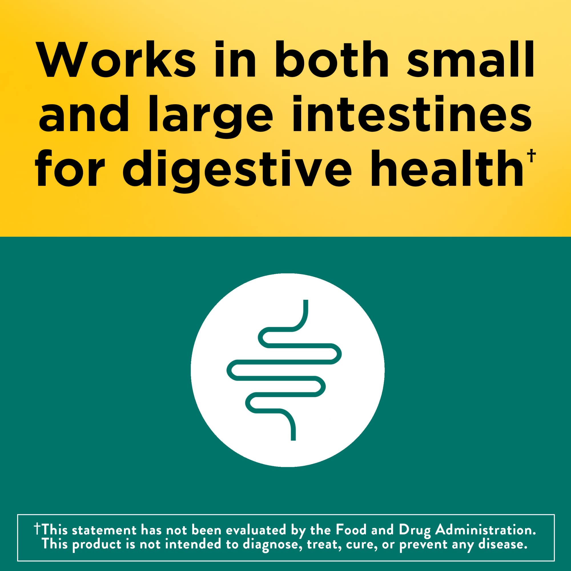 Nature Made Digestive Probiotics Advanced Dual Action, Probiotics for Women and Men, 30 Probiotic Capsules, 30 Day Supply