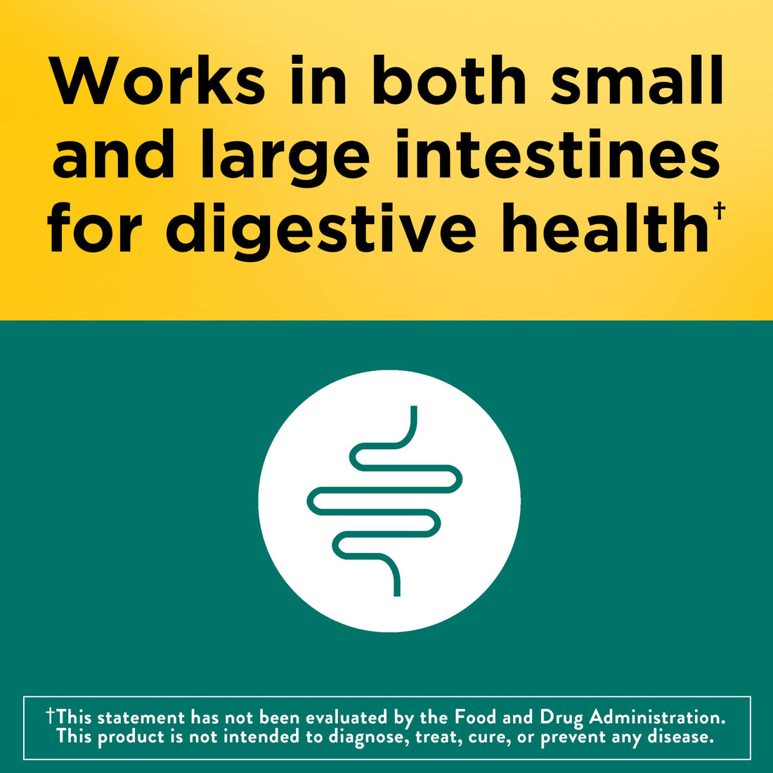 Nature Made Digestive Probiotics Advanced Dual Action, Probiotics for Women and Men, 30 Probiotic Capsules, 30 Day Supply