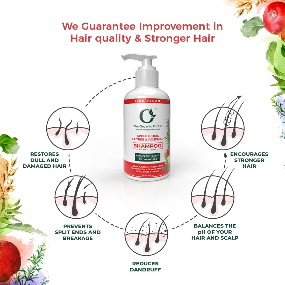 Apple Cider Vinegar, Tea Tree & Rosemary Shampoo - Sulfate Free, Natural & Organic Shampoo for Oily Hair, Dandruff, Itchy Scalp & Thinning Hair - Ideal for Women & Men with Dry Scalp & Grey Hair