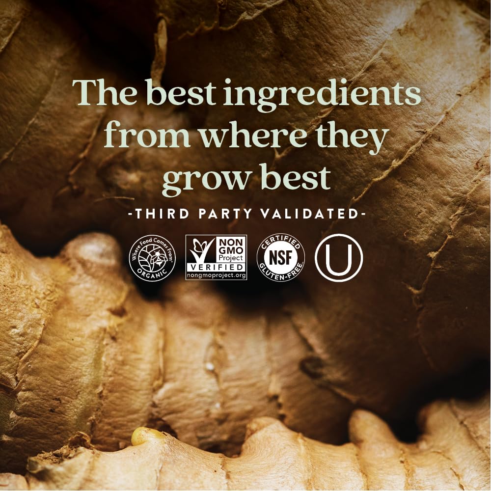 New Chapter Vitamin B Complex – Fermented Coenzyme B Complex Rich in Vitamin B12 + Vitamin B6 + Biotin + Made with Organic Ingredients - 90 ct