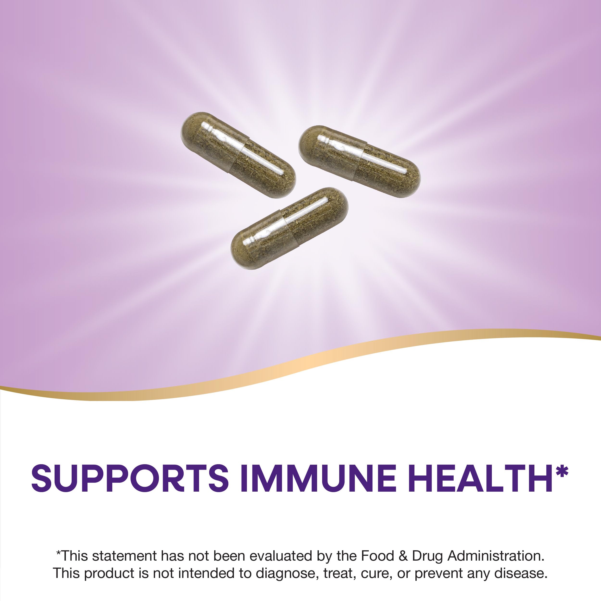 Nature's Way Echinacea Purpurea Herb, Immune Support Supplement*, 1200 mg per 3-capsule serving, Non-GMO Project Verified, Vegan, 100 Capsules (Packaging May Vary)