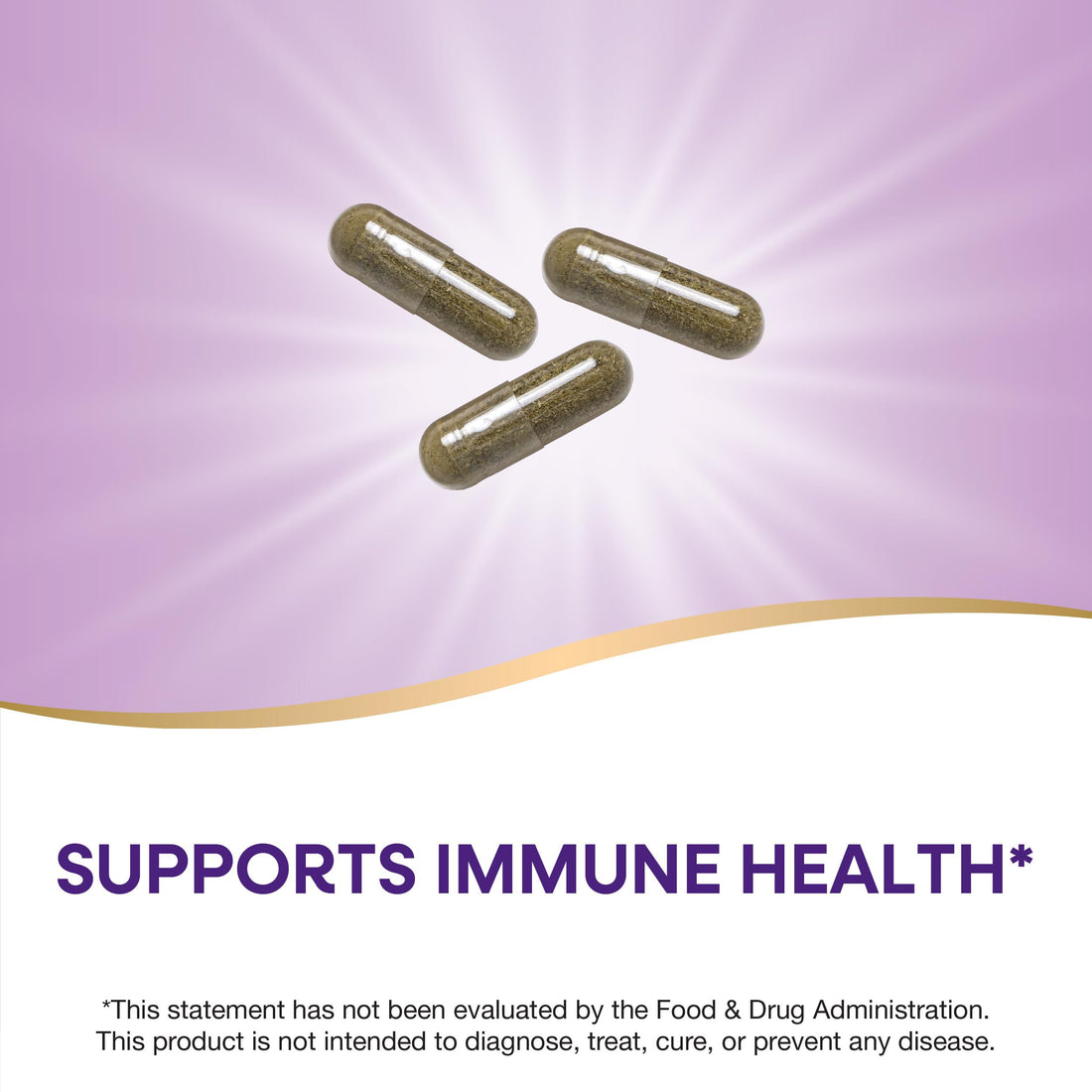 Nature's Way Echinacea Purpurea Herb, Immune Support Supplement*, 1200 mg per 3-capsule serving, Non-GMO Project Verified, Vegan, 100 Capsules (Packaging May Vary)