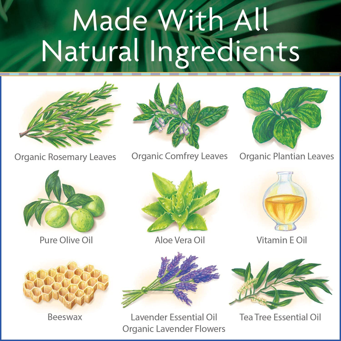 Island Soap & Candle Works Surfer's Salve, Tube