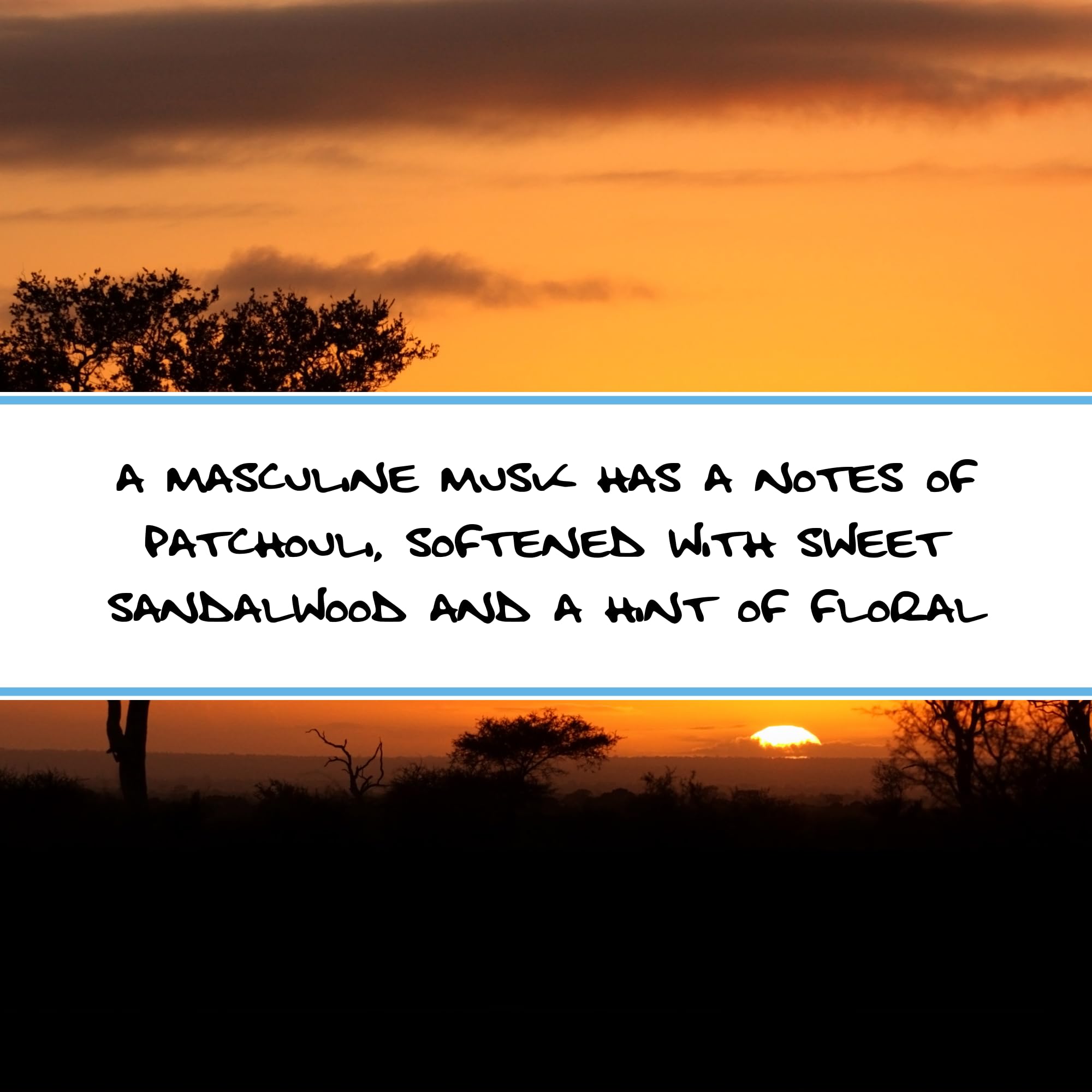 BLUEBYRD Soap Co. African Musk Man Scented Soap Bars| Musk Patchouli & Sandalwood Body Wash for Men | Made with Nourishing Goats Milk & Organic Sustainable Palm Oils (AFRICAN)