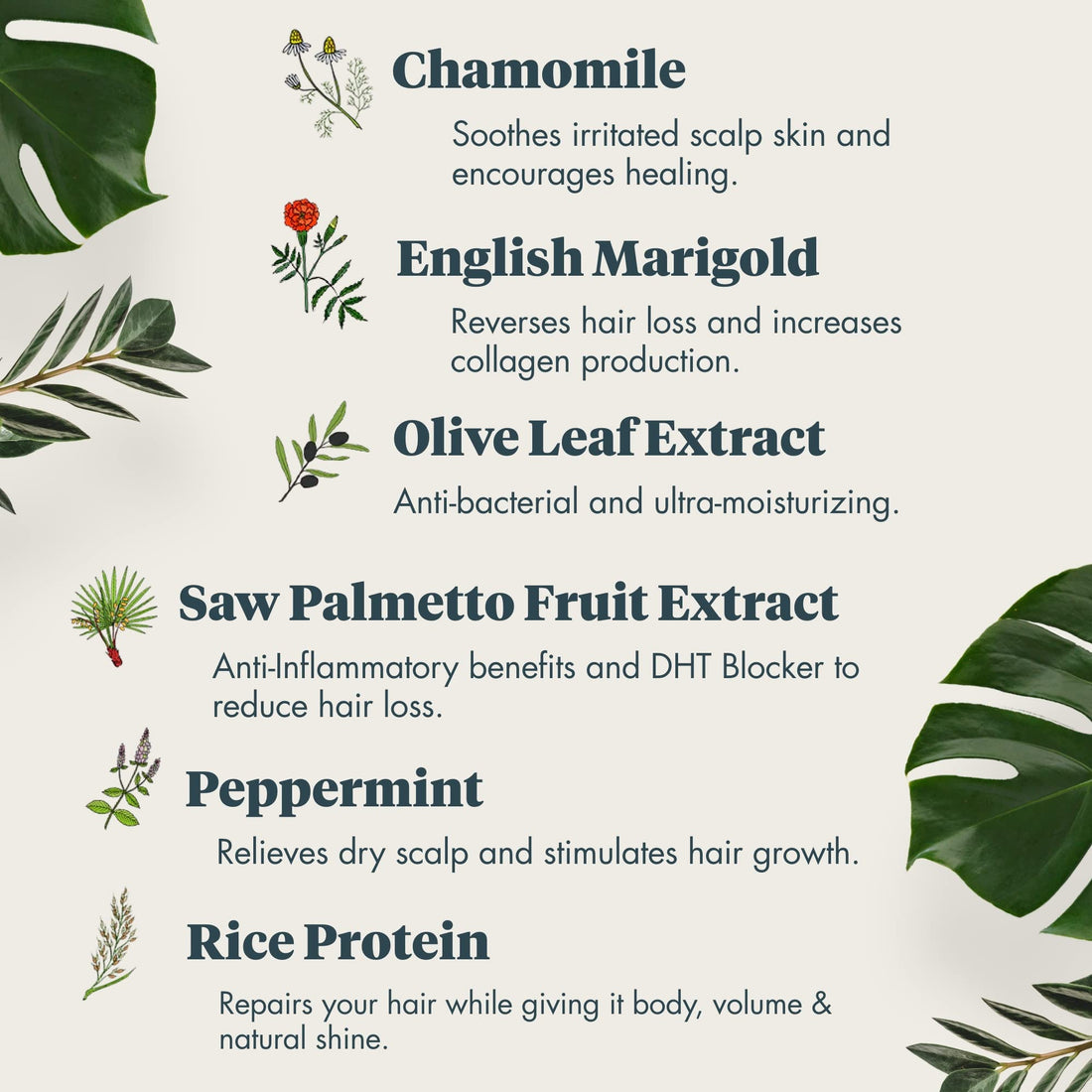 Revive Procare PRIME: Moisture + Conditioner (750ml/25.4oz)