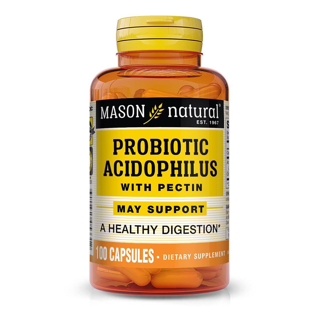 Mason Natural Acidophilus with Pectin Capsules, Digestive Aid - 100 Ea