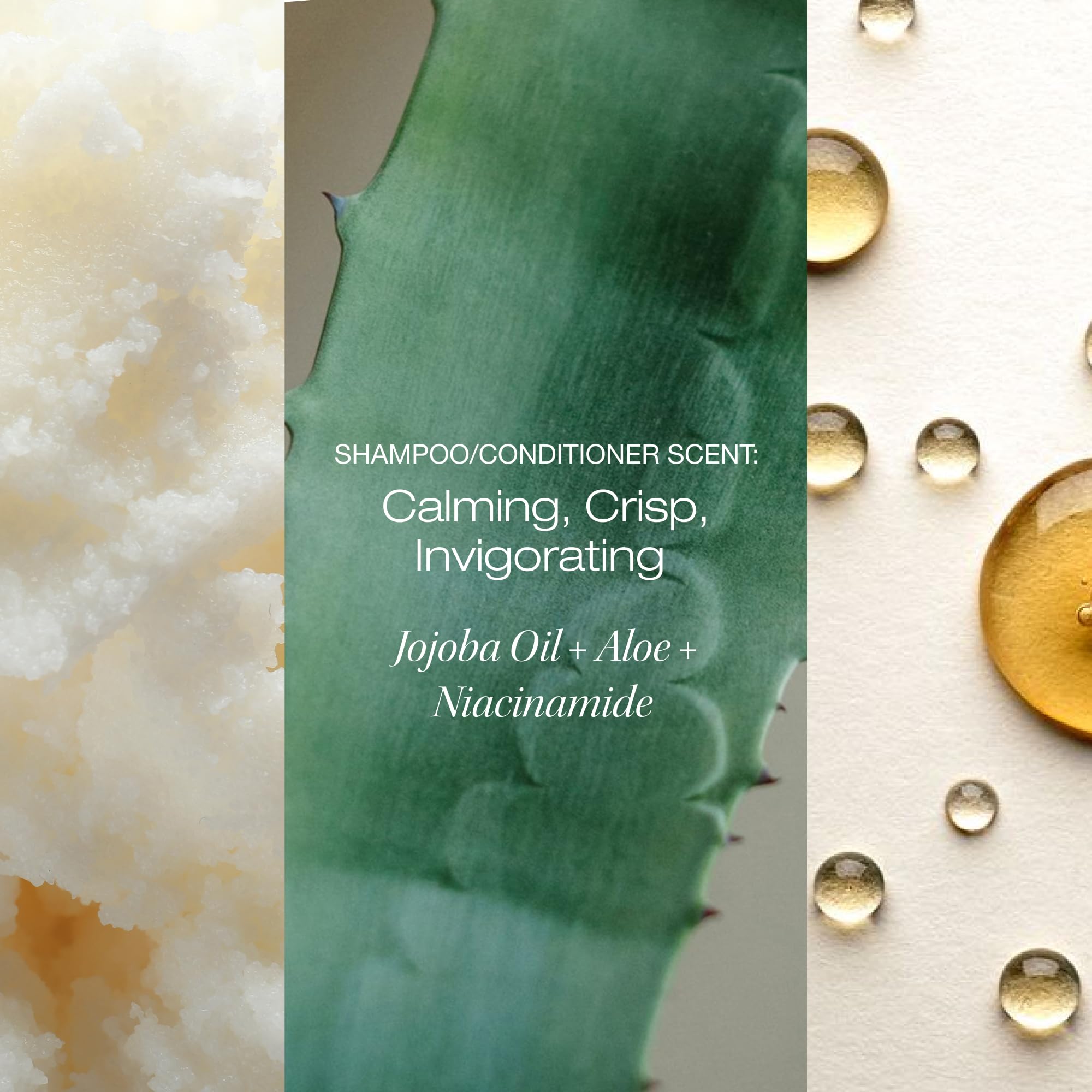 Raw Sugar Scalp Restore Hair Care Bundle, Shampoo and Conditioner Set with Jojoba, Aloe and Niacinamide, Formulated without Sulfates + Parabens