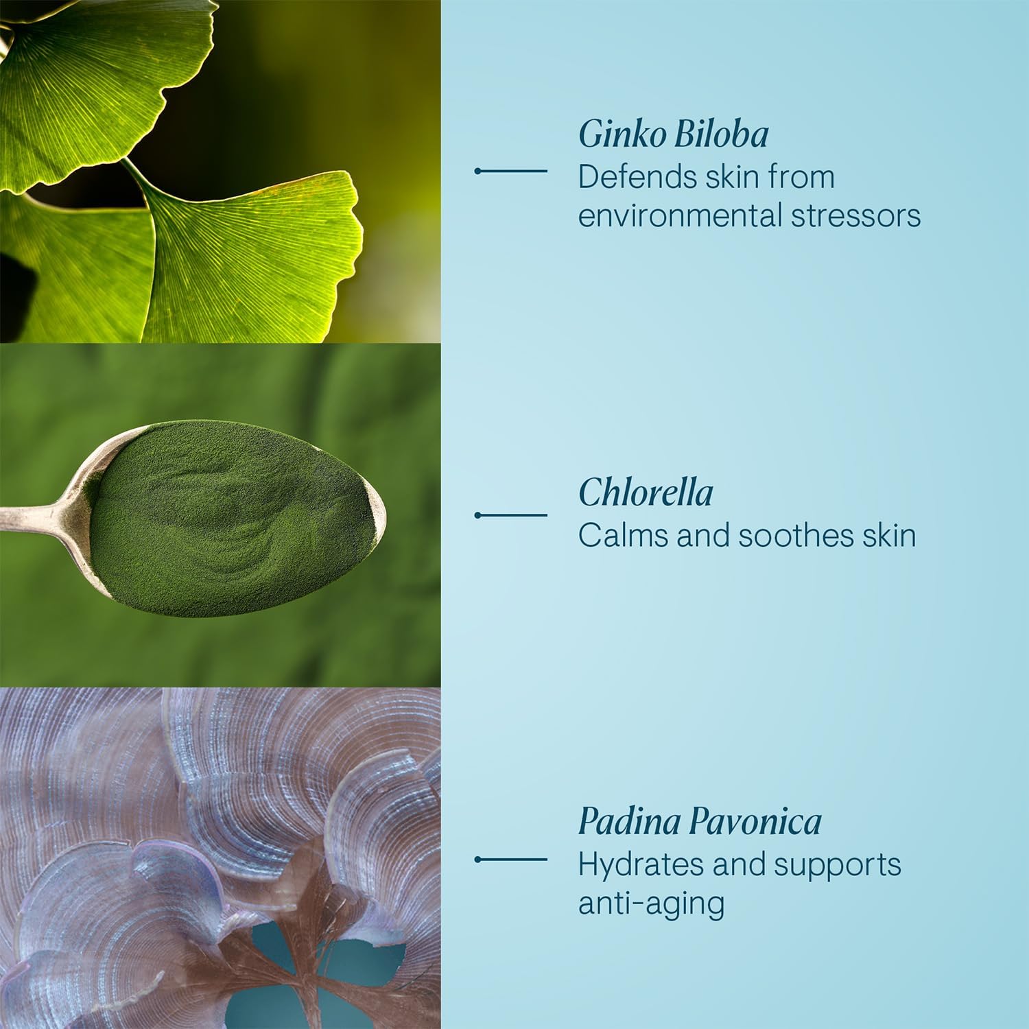 ELEMIS Pro-Collagen Marine Cream, Anti-wrinkle Day Cream SPF 30, 1.6 Fl Oz