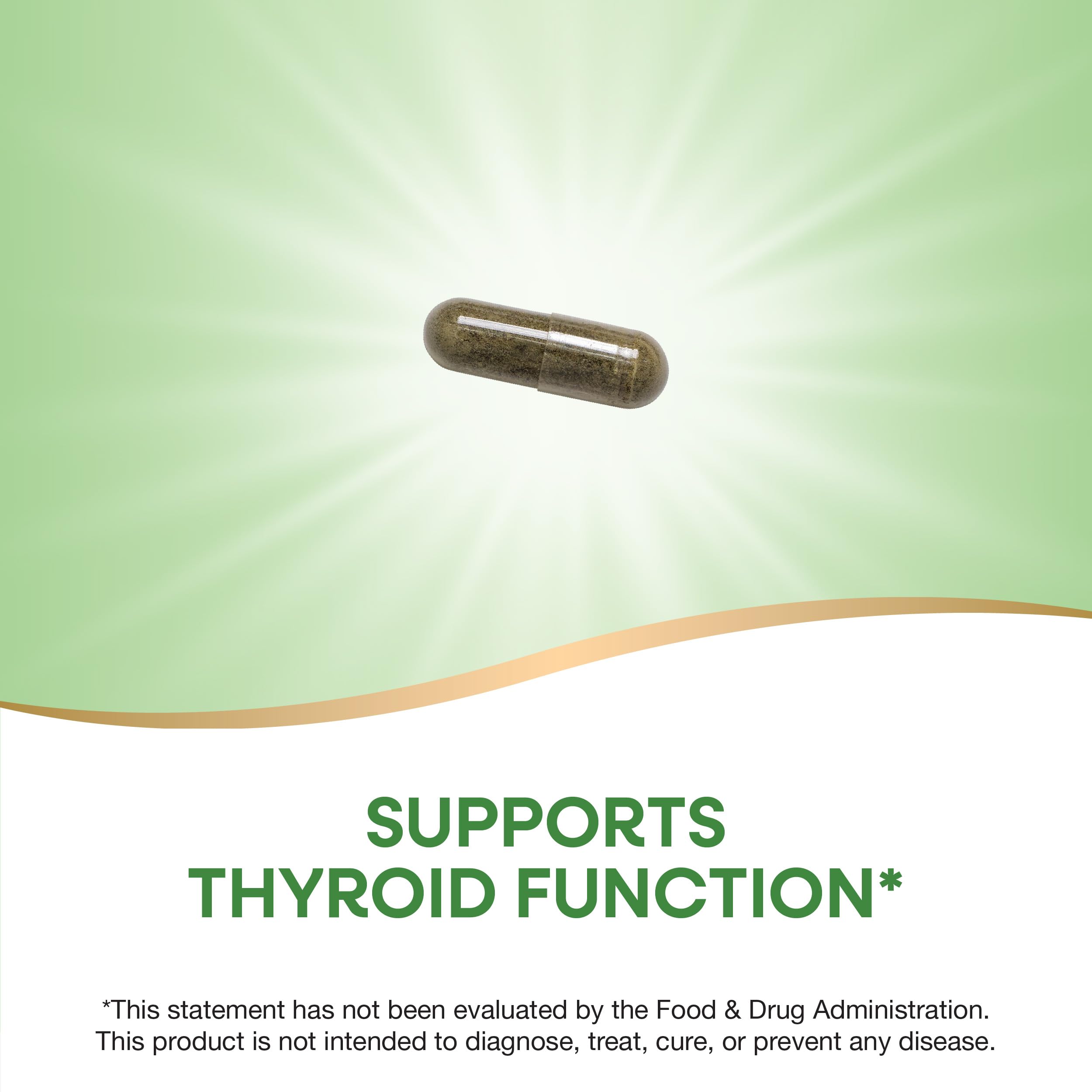 Nature's Way Kelp; 600 mg Non-GMO Project Verified Gluten Free Vegetarian; 100 Count