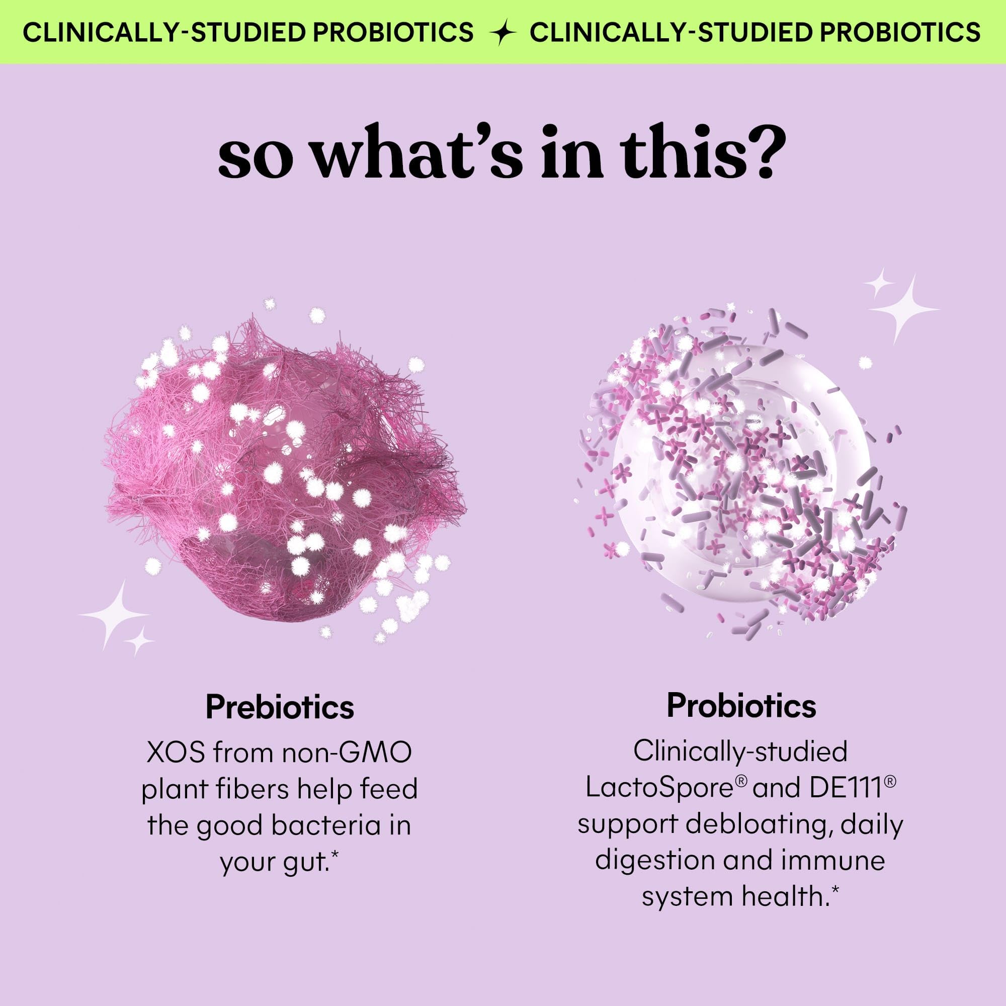 Lemme Debloat - Digestive & Gut Health Gummies with 2 Clinically Studied Probiotics & Prebiotic, 3 Billion CFUs - Vegetarian, Gluten Free, Non GMO, BlackBerry Flavor (60 Count)