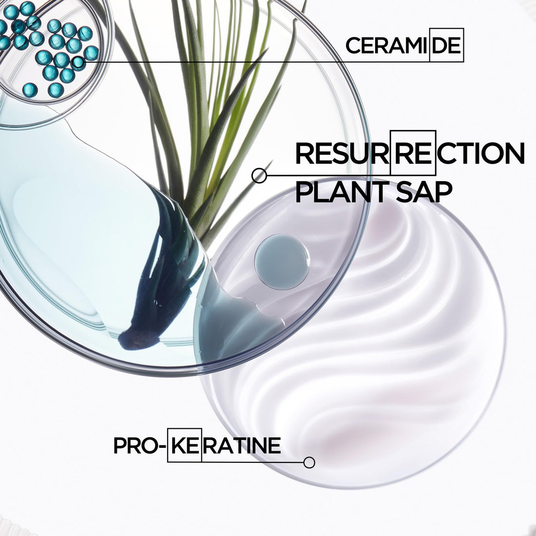 Kérastase Resistance Strengthening Shampoo & Conditioner Set For Weak and Damaged Hair - Gently Cleanses and Softens With Pro-Keratine Complex