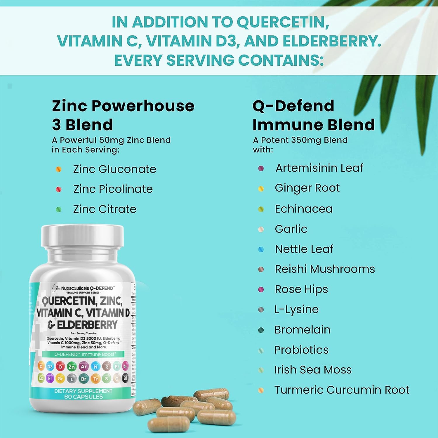 Clean Nutraceuticals Quercetin Zinc Vitamin C Vitamin D Bromelain Elderberry - Lung Immune Support Supplement Adults with Artemisinin, Sea Moss, Echinacea, Allergy Relief