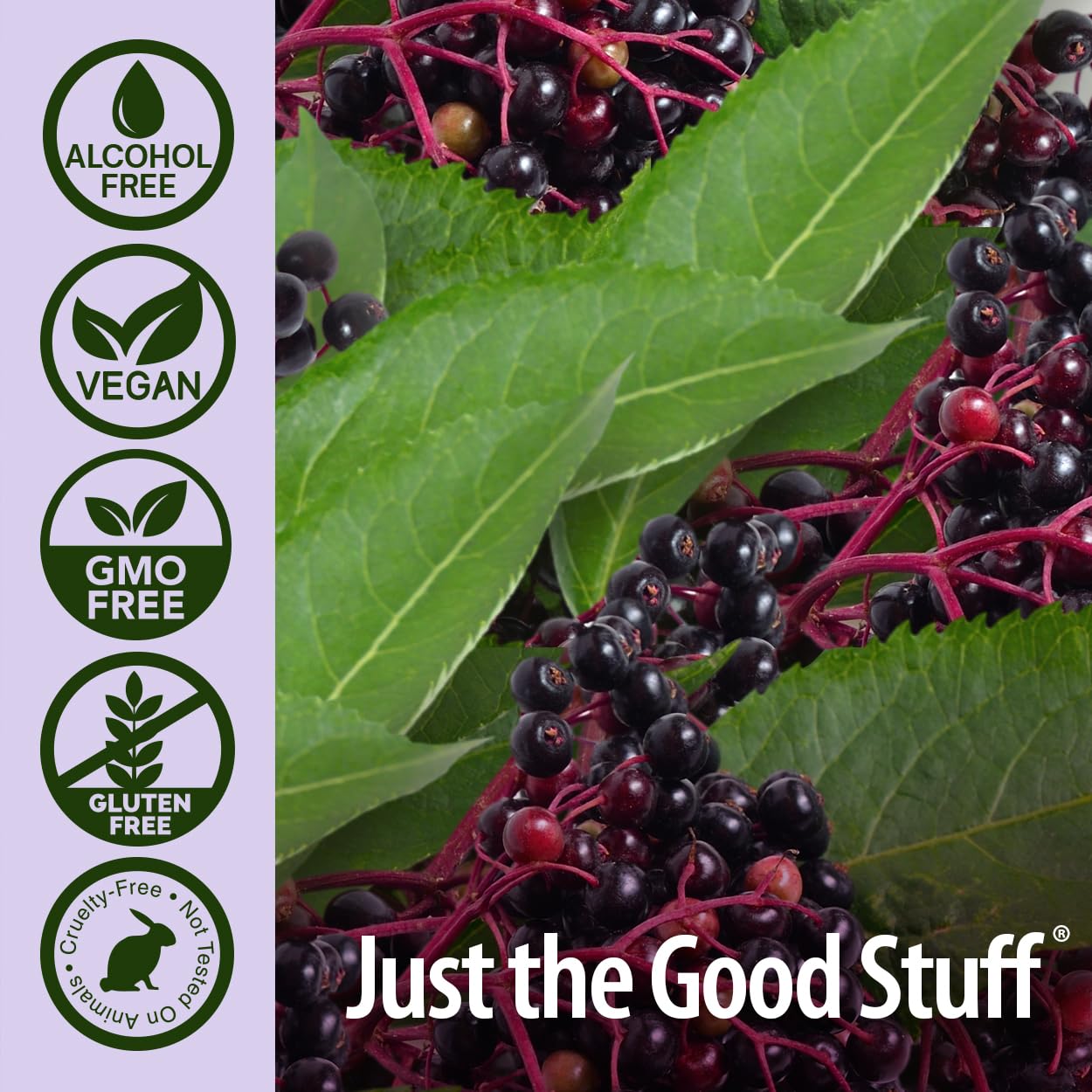 Nature's Answer Kids Sambucus Chewables Black Elderberry with Vitamin C and Zinc