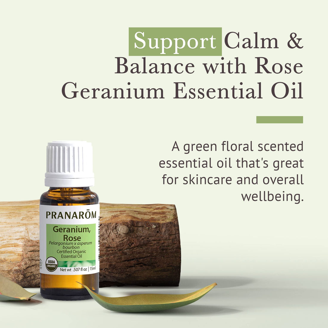PranarC3B4m Geranium Rose (Pelargonium X Asperum Bourbon), 15Ml: Pranarom - Certified Usda And Ecocert Organic Geranium Rose 15Ml