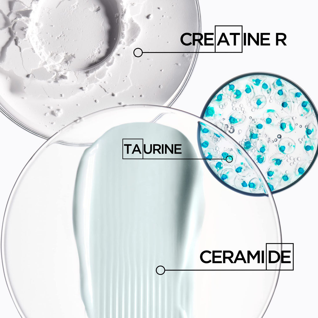 KÉRASTASE Resistance Bain Extentioniste Shampoo, Length Strengthening Shampoo, Protects Hair and Scalp from External Aggressors with Ceramides to Enhance Shine for Damaged Hair, 8.5 Fl Oz