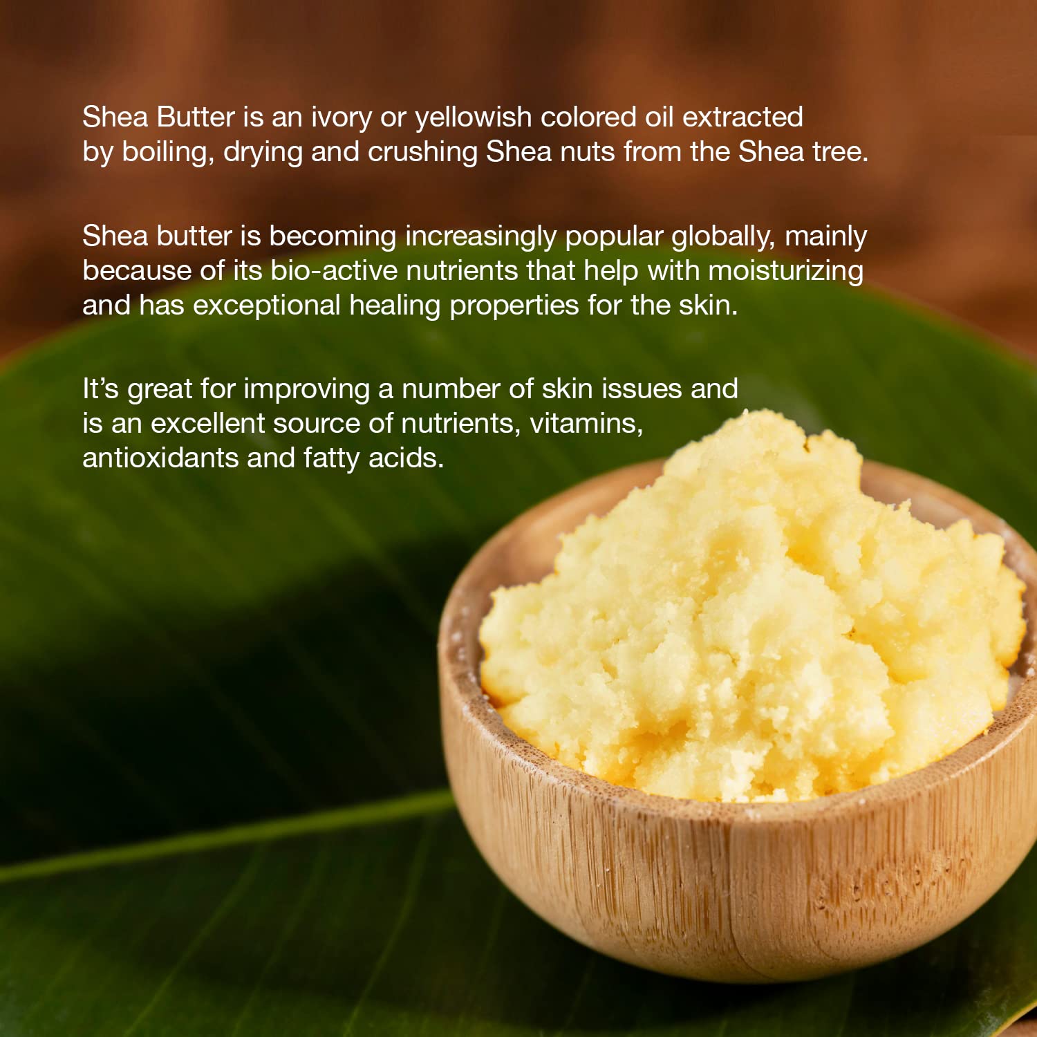 STAR CARE 100% Virgin Shea Nut Butter No Color No Perfume (1oz)