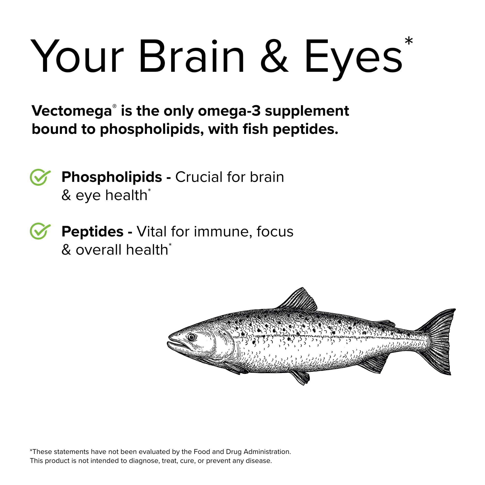 Terry Naturally Vectomega - Supplement with EPA & DHA - Omega-3 Tablets for Brain & Heart Health Support - Nutritional Supplement with Essential Fatty Acids & Peptides - 60 Tablets (Pack of 2)