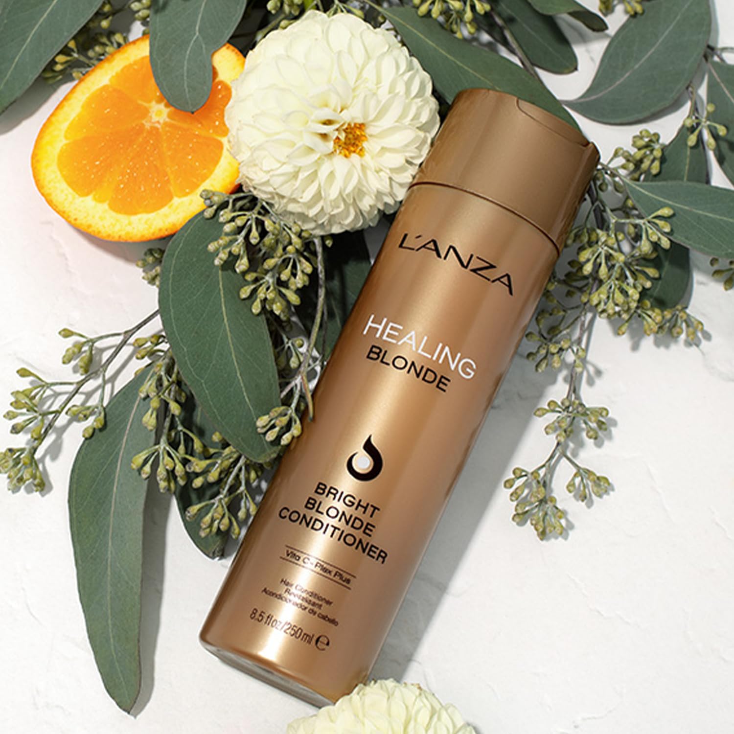 L'ANZA Healing Blonde Bright Conditioner, Formulated for Natural & Decolourized Blonde Hair, Boosts Shine and Brightness while Healing, with Sulfate-free, Paraben-free, Gluten-free Formula (8.5 Fl Oz)