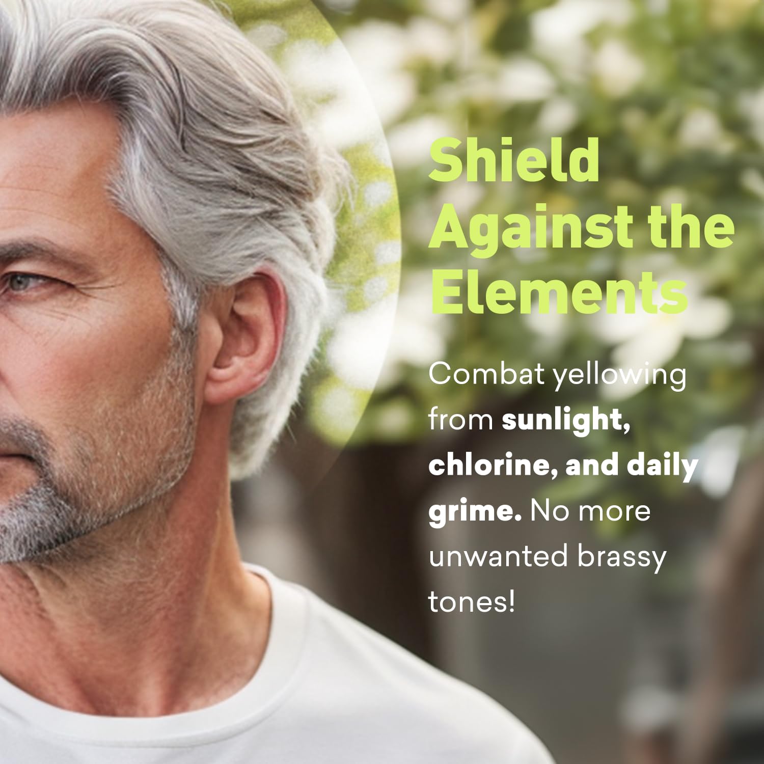 Just Nutritive Men's Gray Hair Shampoo | Remove Yellowing or Brassy Tones with No Sulfates | Natural Ingredients | Gray Hair Treatment | 8 oz.