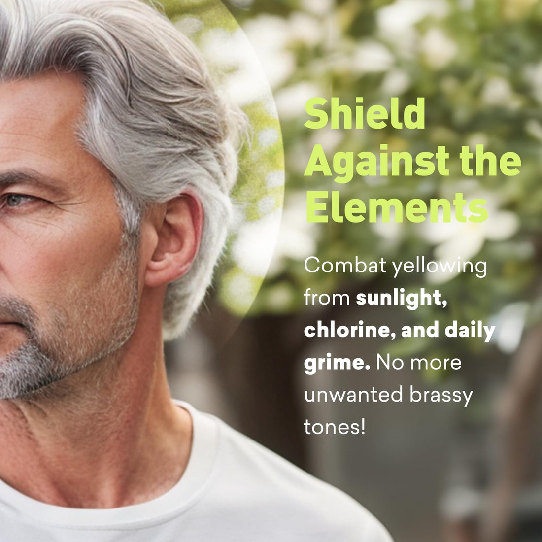 Just Nutritive Men's Gray Hair Shampoo | Remove Yellowing or Brassy Tones with No Sulfates | Natural Ingredients | Gray Hair Treatment | 8 oz.