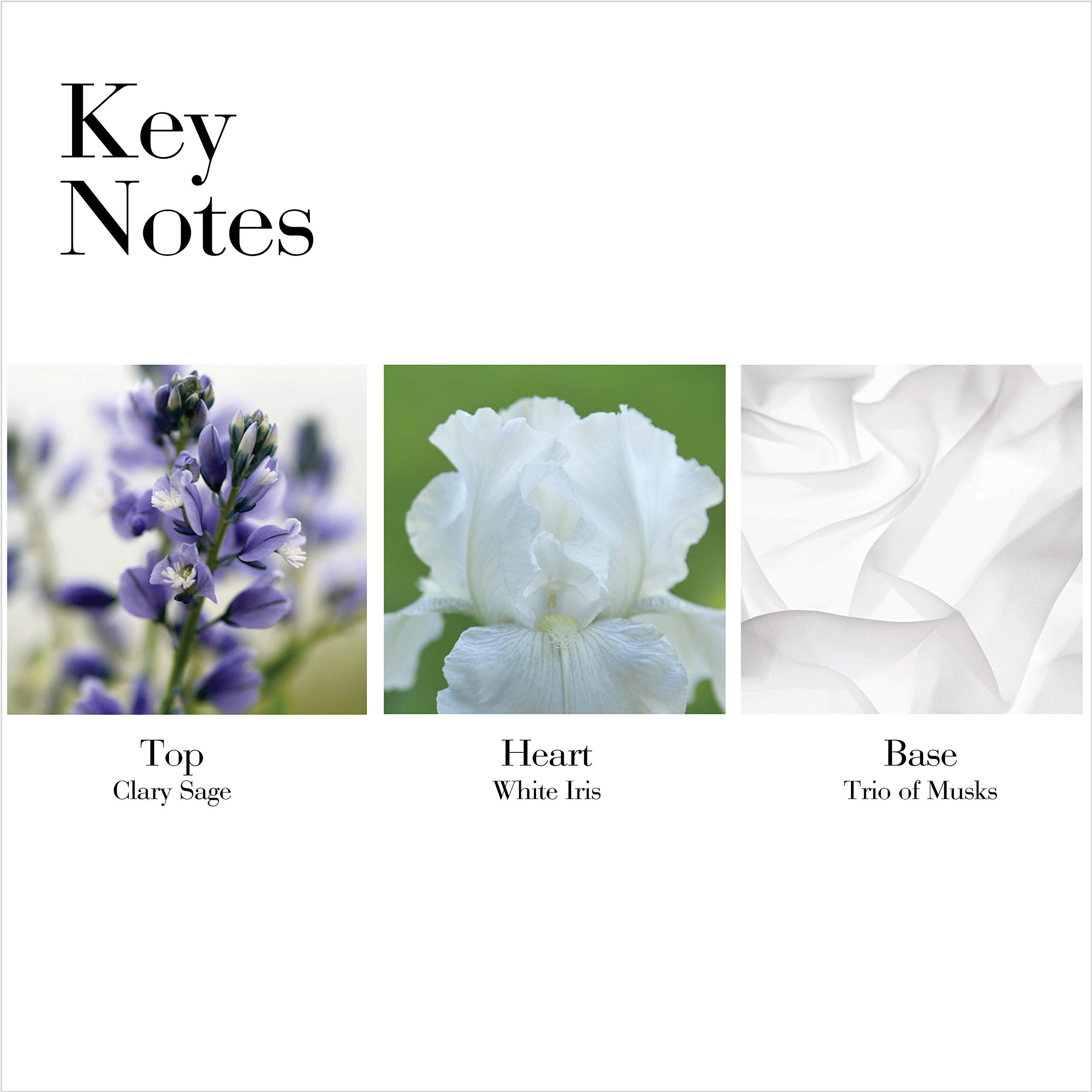 Elizabeth Arden White Tea, Women's Cream Deodorant, 1.5 Oz, Pack of 1