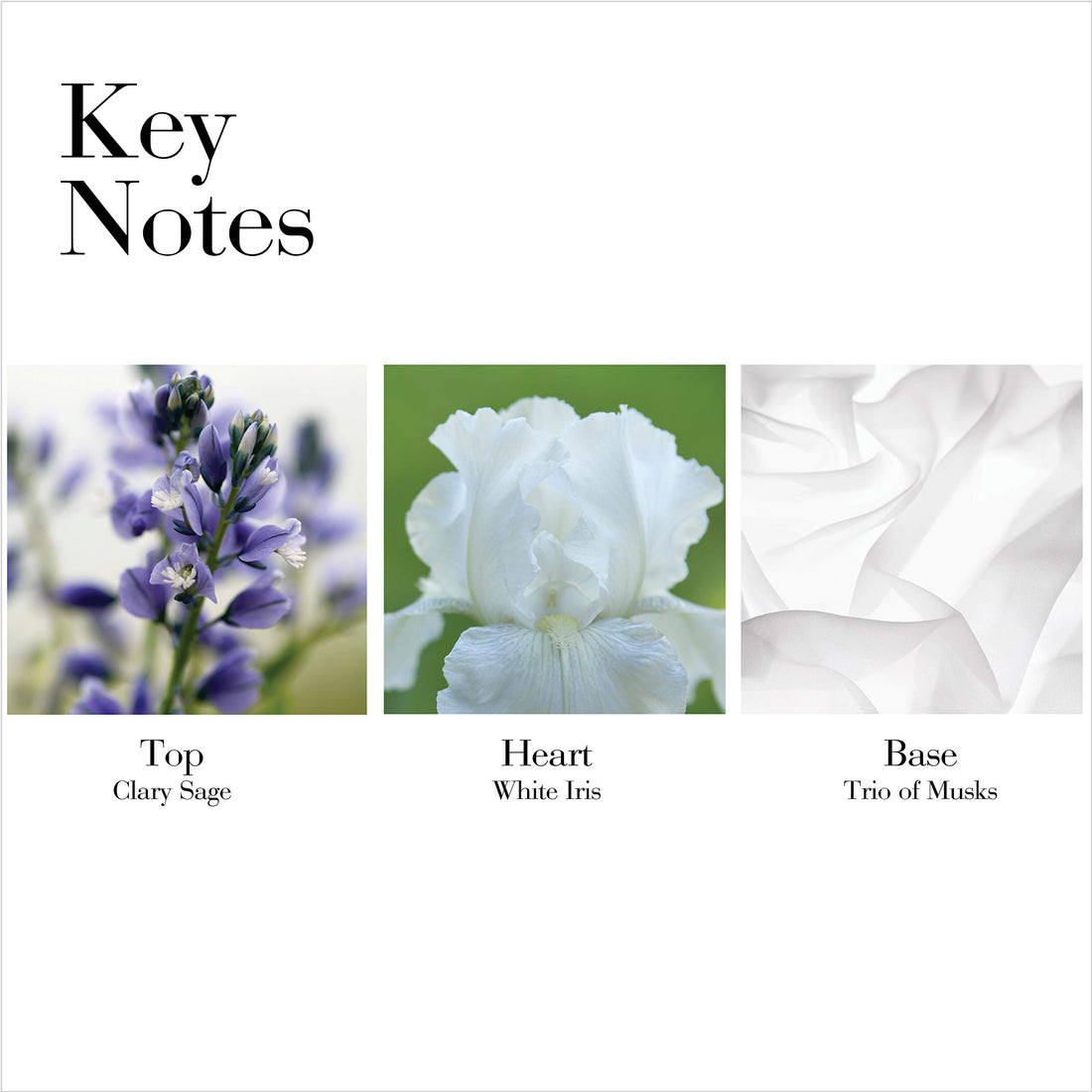 Elizabeth Arden White Tea, Women's Cream Deodorant, 1.5 Oz, Pack of 1