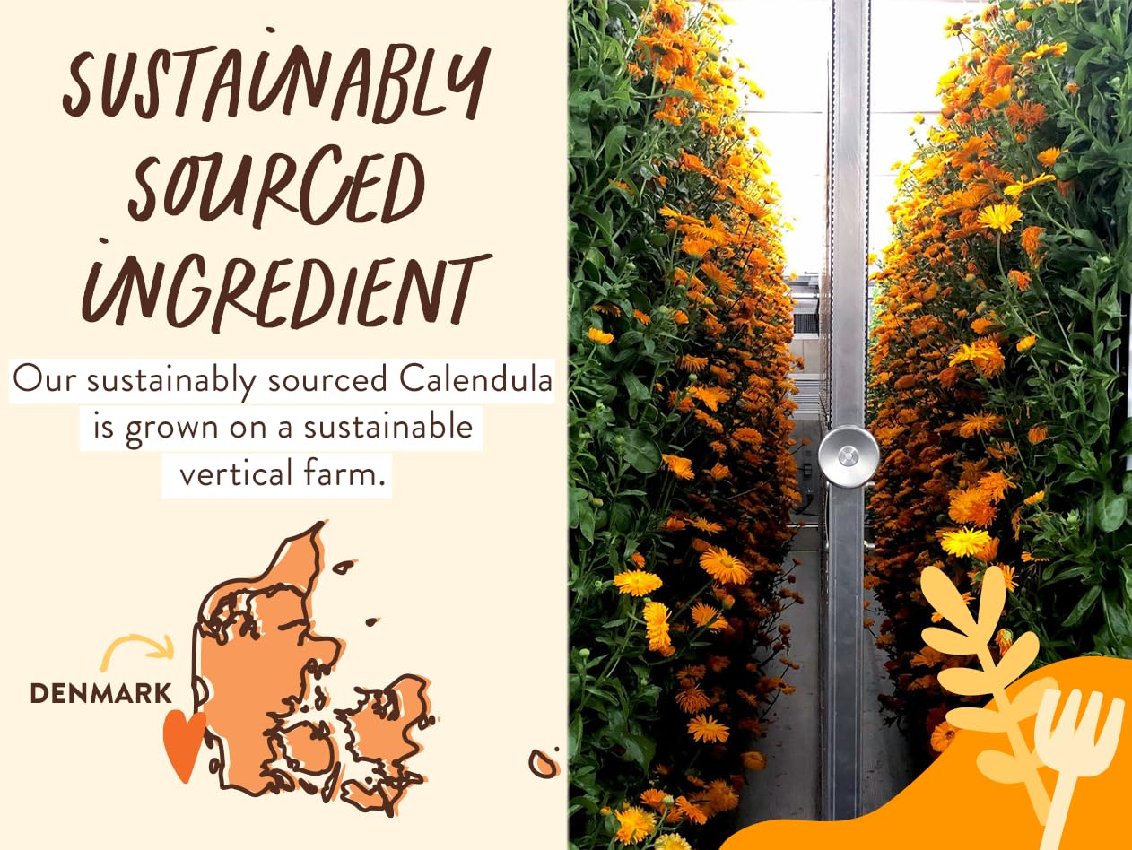 Babo Botanicals Moisturizing Oat & Calendula 2-in-1 Shampoo & Wash - for Dry or Sensitive Skin - for All Ages - Lightly Scented - Vegan - Refill pouch 32 fl.oz.