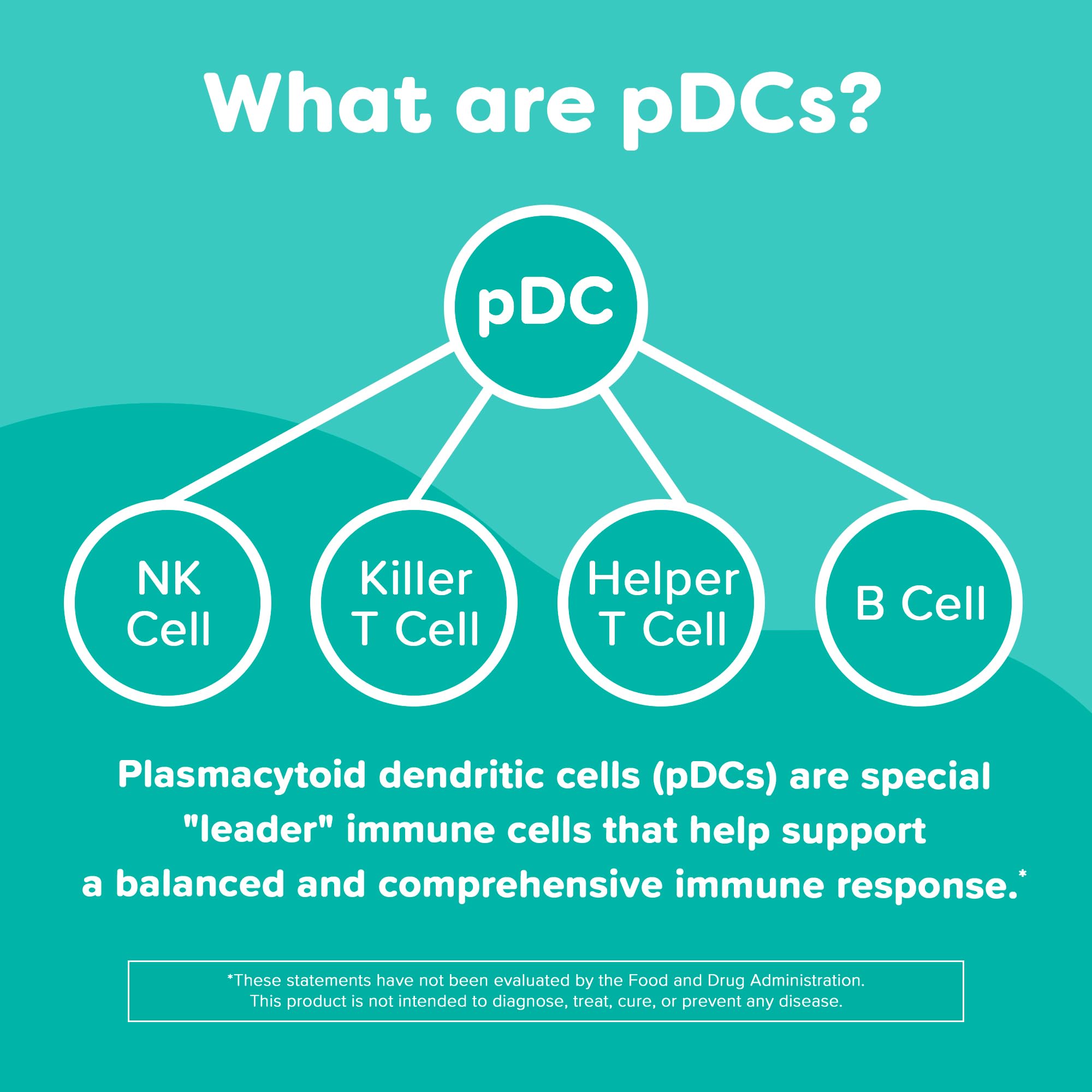 Renzo's Roll Call Immunity, Daily Postbiotic, Dissolvable Kids Immune Support Supplement, Sugar-Free Kids Vitamins, 30 Orange-Flavored Melty Tabs