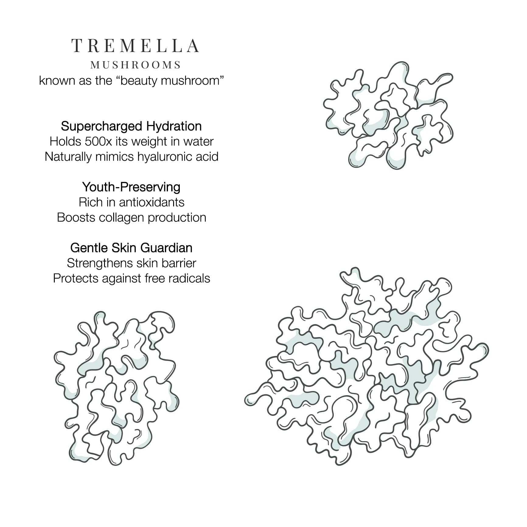 Dr. Song Tremella Sun Repair Ampoule - Exfoliating Serum with Azelaic Acid 10% and Glycolic Acid 10%