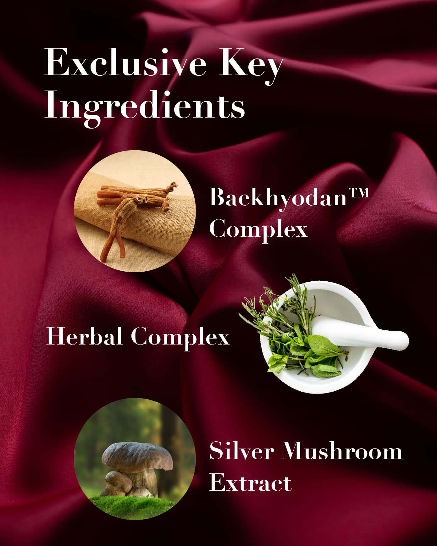 Sooryehan Ginseng Skincare Set - Hyobidam Korean Skin Care Set, Premium Gift Set for Intense Hydration, Firm Skin, Wild Ginseng, 13.53 fl oz