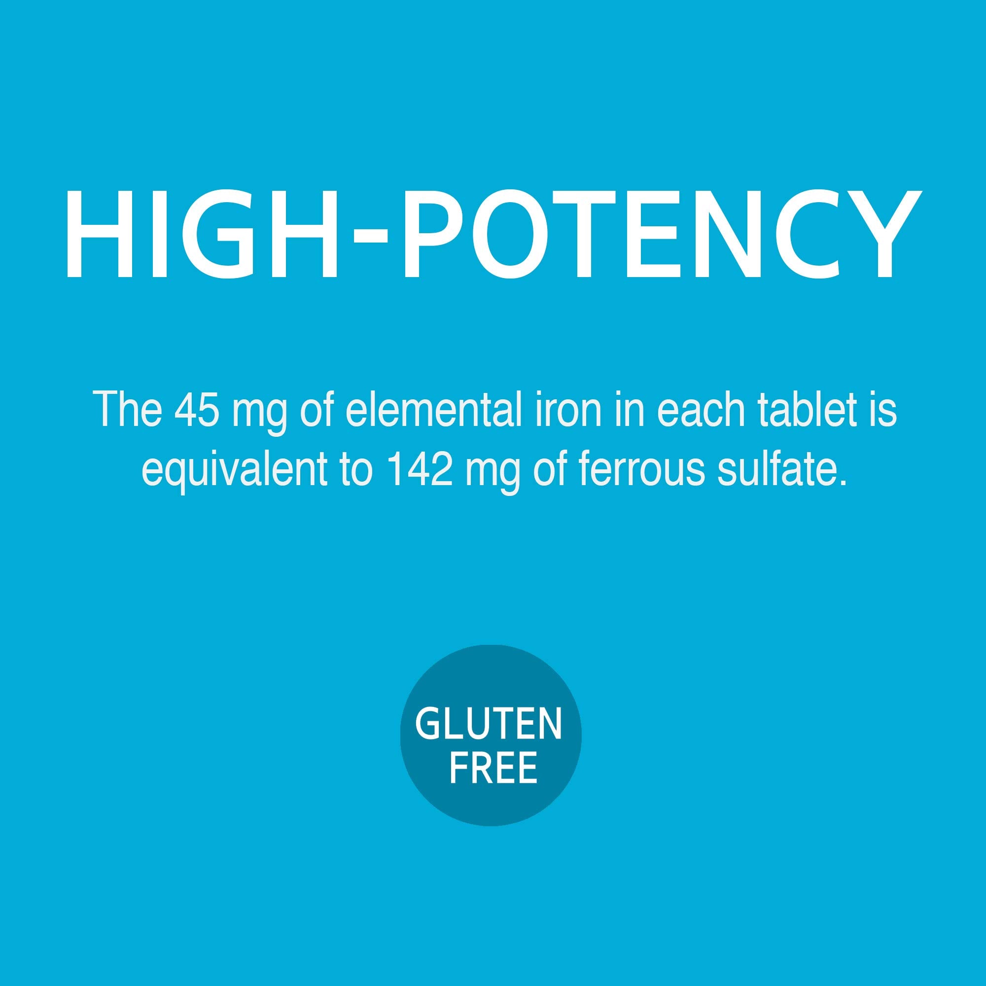 21st Century Slow Release Iron Tablets, 60 Count