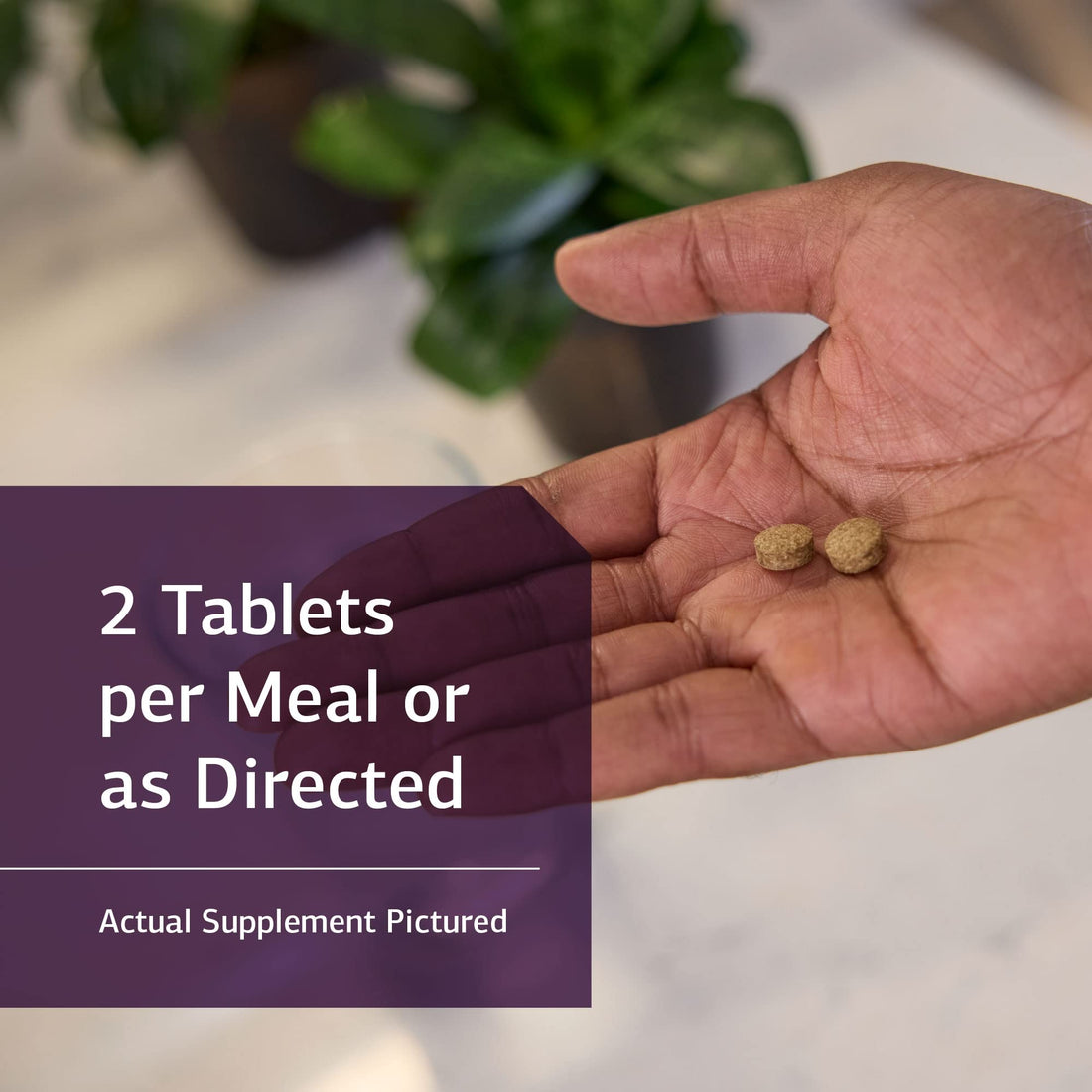 Standard Process Inc. Cholacol - Gallbladder Support Supplement - Fat Digestion Supplement for Digestive Health & Bile Support - Gluten-Free, Non-Dairy & Non-Soy - 90 Tablets