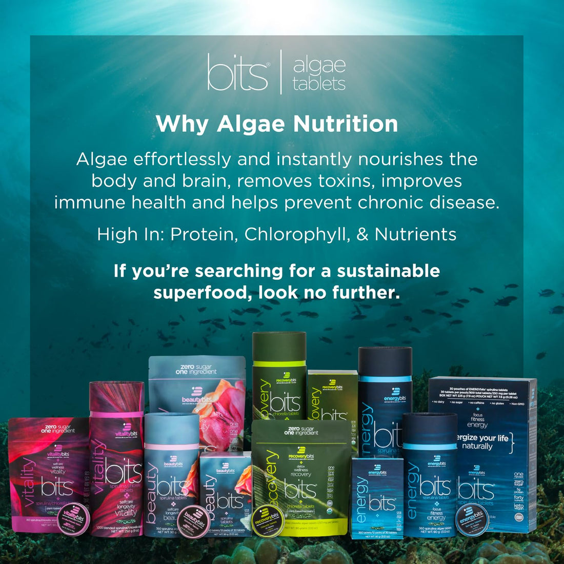 VITALITYbits - Organic Blended Spirulina & Chlorella Tablets - Algae Superfood - Energy, Self Care, Beauty - Replace Greens, Supplements, Protein, Snacks - Vegan, Keto, Gluten Free - 1000 Tablets Bag