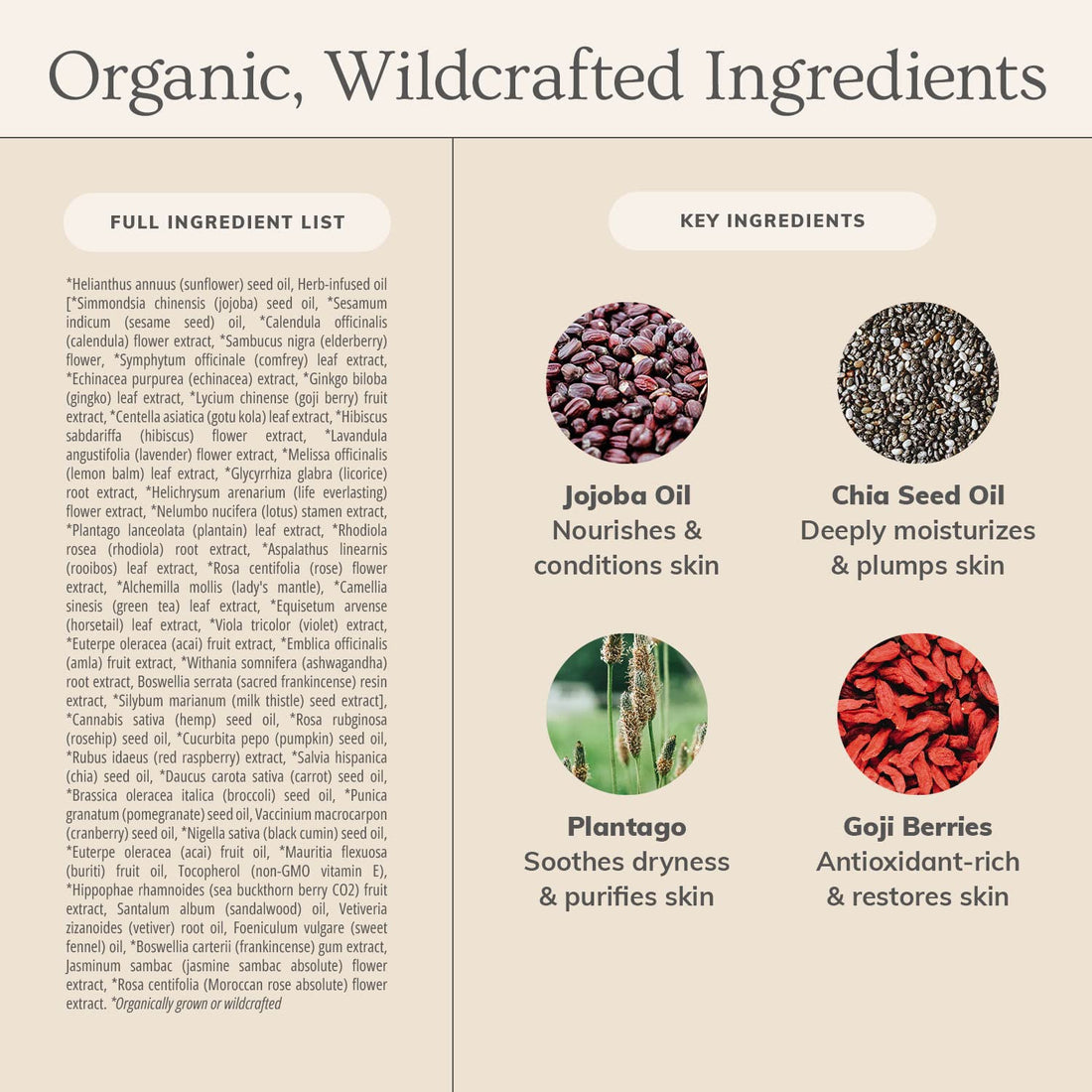 Annmarie Skin Care - Anti-Aging Facial Oil, 15Ml