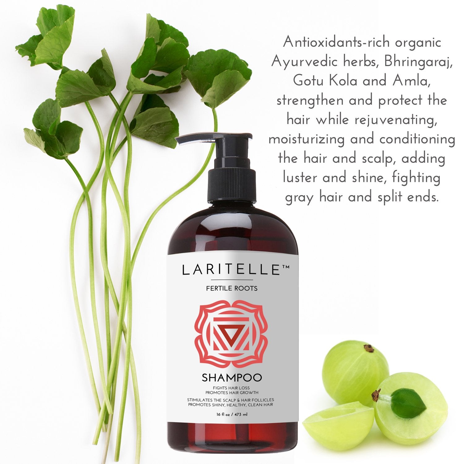 Laritelle Organic Shampoo 16 oz. Fortifying, Strengthening, Rejuvenating. Prevents Hair Shedding, Promotes New Hair Growth. Ayurvedic Herbs, Lavender, Ginger, Rosemary, Patchouli and Cloves. Vegan. GF