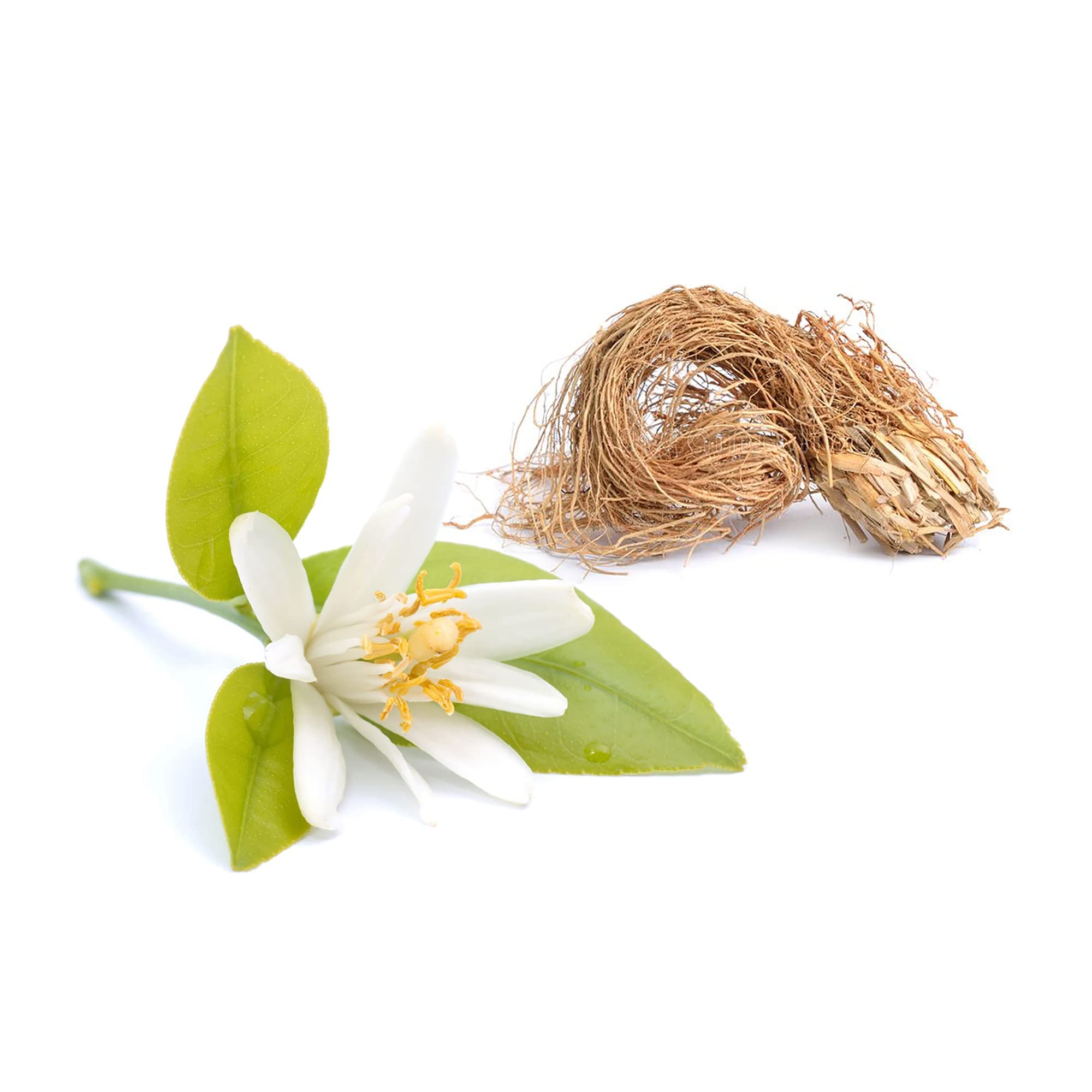 Derek Lam 10 Crosby - Rain Day - 8 Oz Fragrance Mist - A Refreshing, Light Fragrance For Women - Citrusy Nerloi And Green Veviter Notes