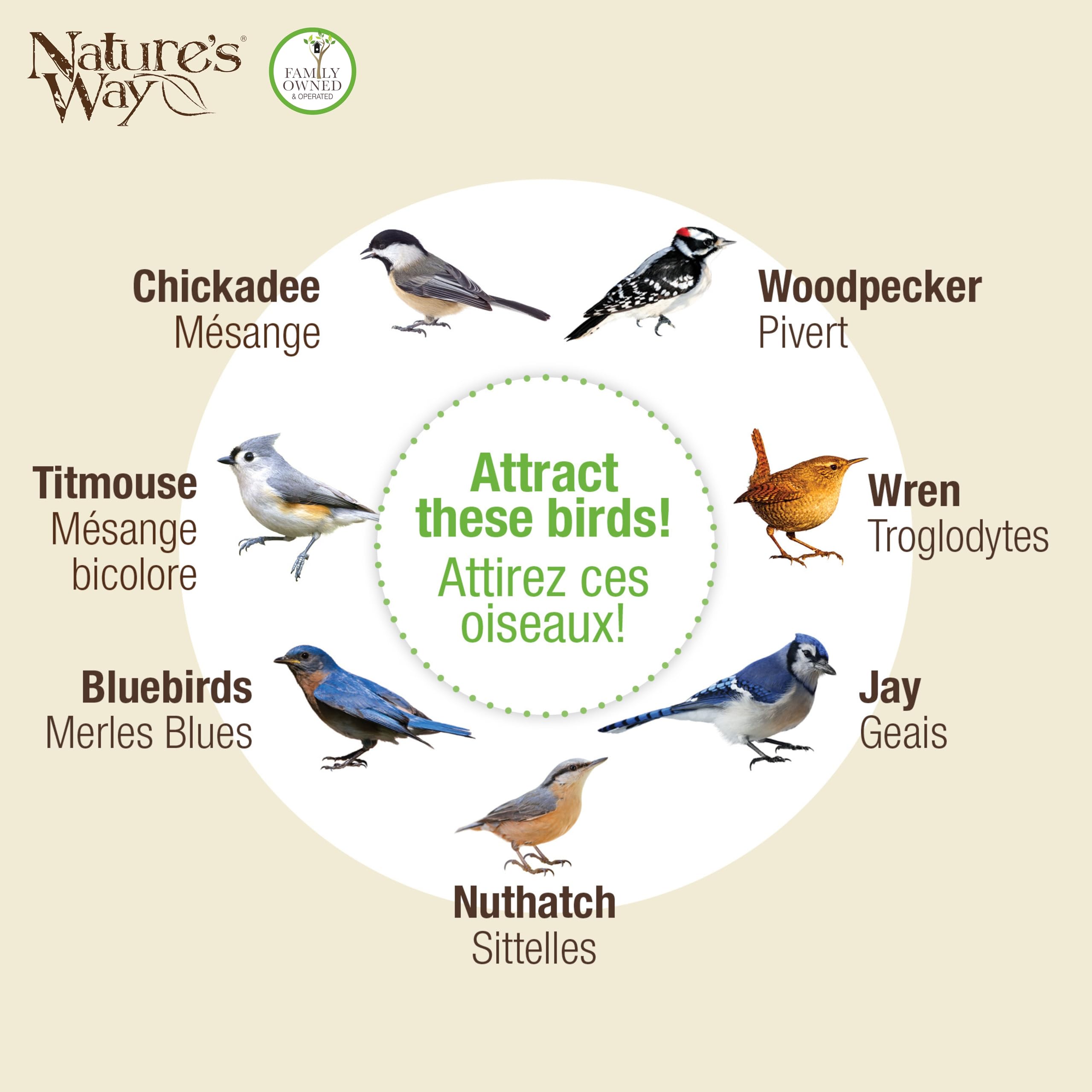 Nature's Way Bird Products BWF1 Tail-prop Suet Bird Feeder 12H x 7.875L x 3W, Wood