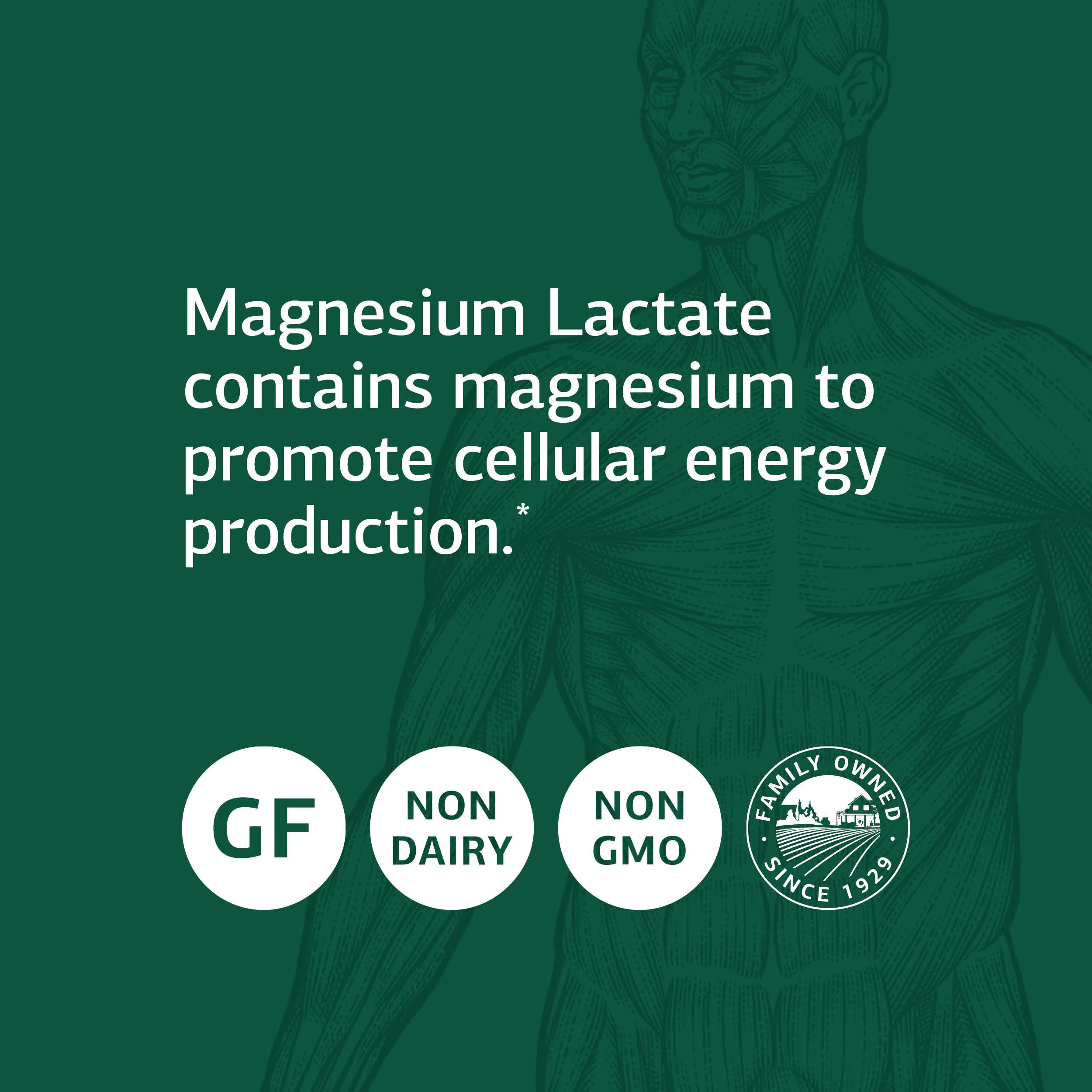 Standard Process Inc. Magnesium Lactate - Supplement for Cell Energy, Muscle & Bone Support - Heart & Nervous System Support - Bioavailable & Absorbable Form of Magnesium - 90 Capsules