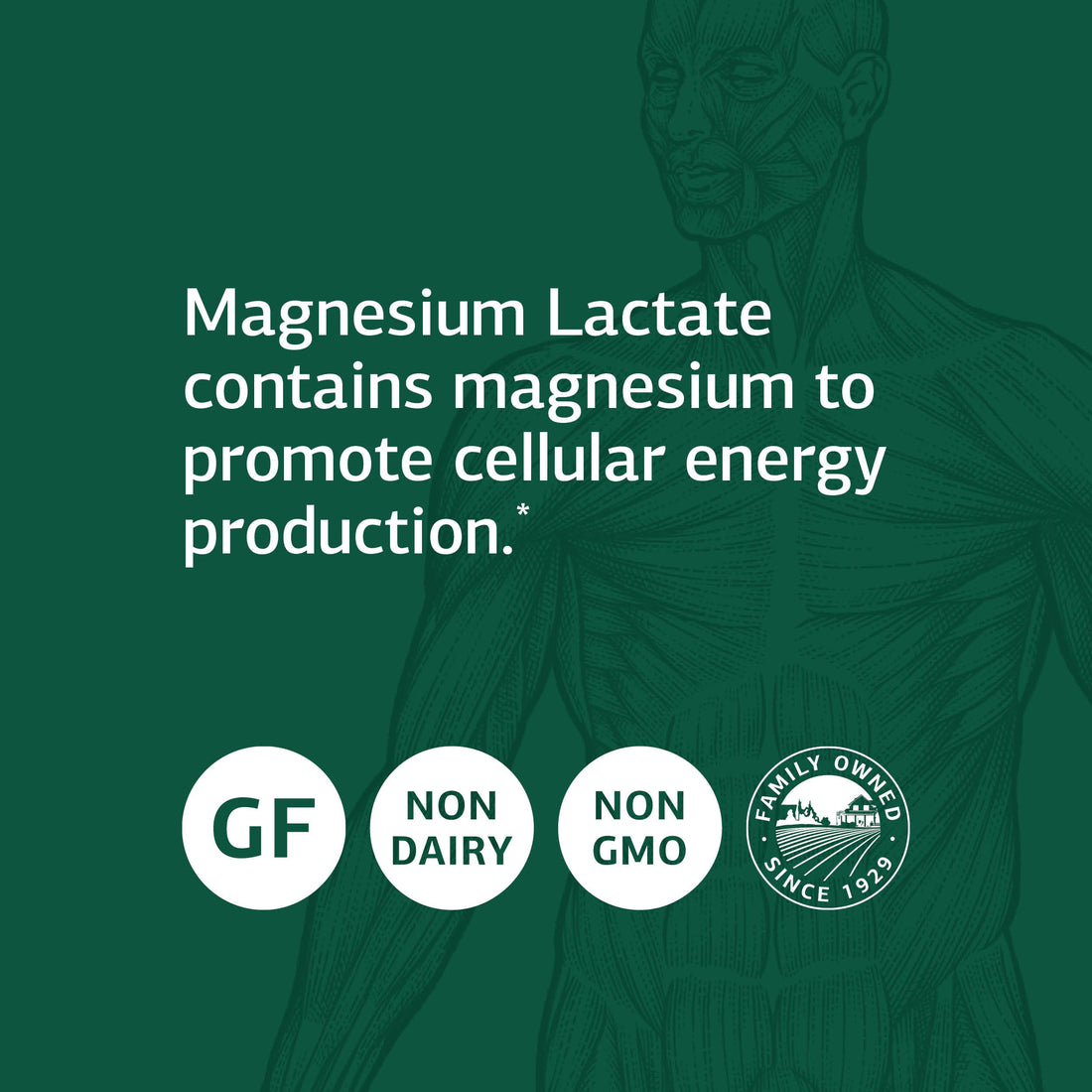 Standard Process Inc. Magnesium Lactate - Supplement for Cell Energy, Muscle & Bone Support - Heart & Nervous System Support - Bioavailable & Absorbable Form of Magnesium - 90 Capsules
