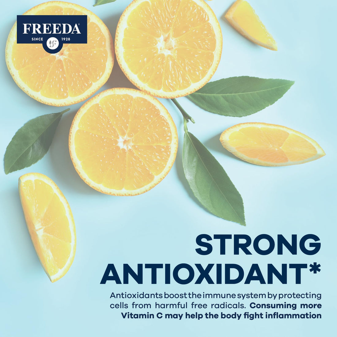 FREEDA Vitamin C - Buffered Vitamin C Powder - Kosher - Powerful Antioxidant Immune Support - Sensitive Stomach Vitamins C Drink - Calcium Ascorbate - Sugar Free Vitamin C - VIT C Supplement (16 oz)