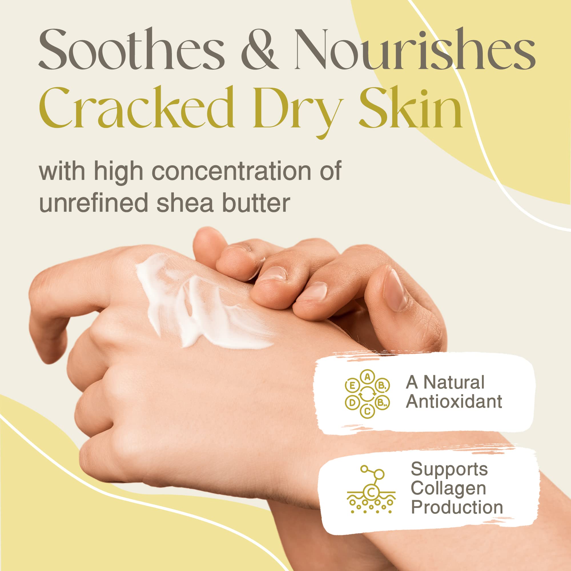 True Shea - Moisturizing African Whipped Shea Butter, All-Natural Unscented Skincare Must - Have, Made from Unrefined Raw Shea Butter Enriched with Sunflower Oil Coconut for Skin, No Parabens, 8 oz