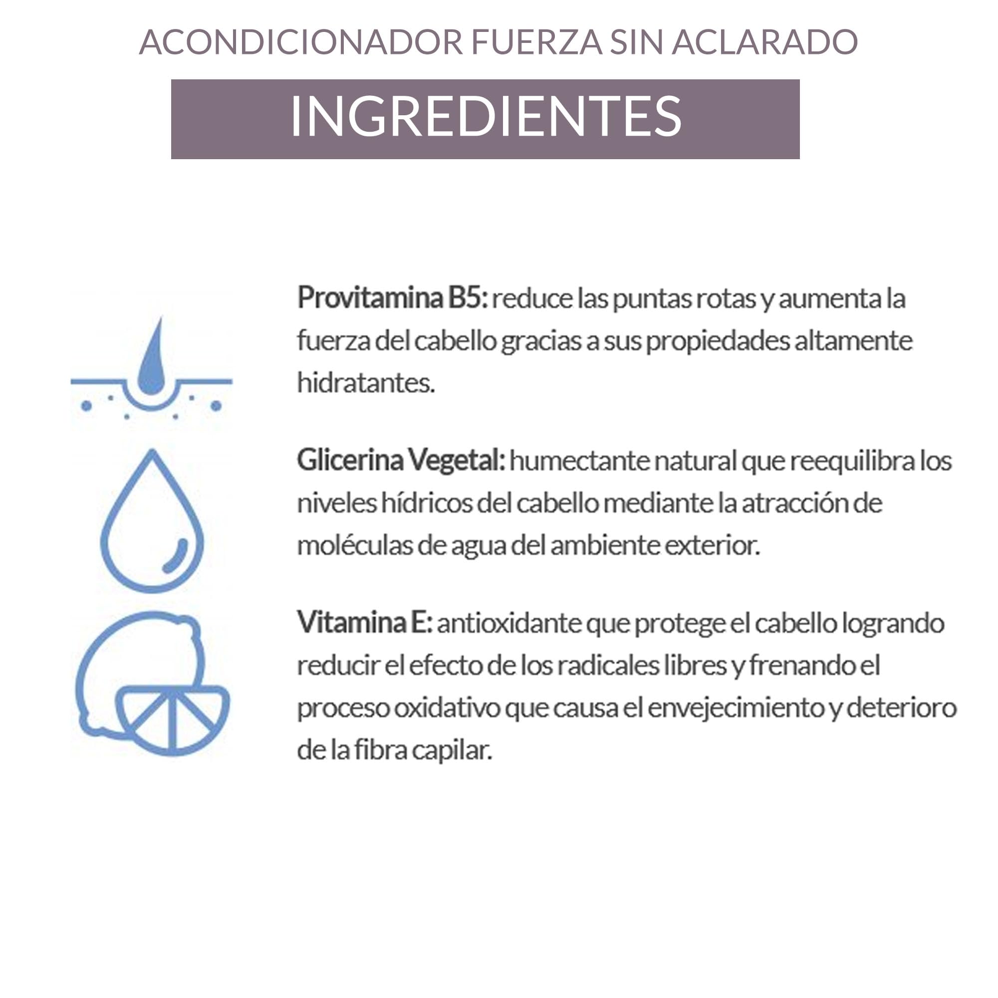 ALEA - Leave-In Conditioner - A-Plex Nº6 Leave-In Repair Conditioner - 250 ml - All Hair Types - Softens, Strengthens, and Hydrates - Anti-Frizz Hair - Heat Protector