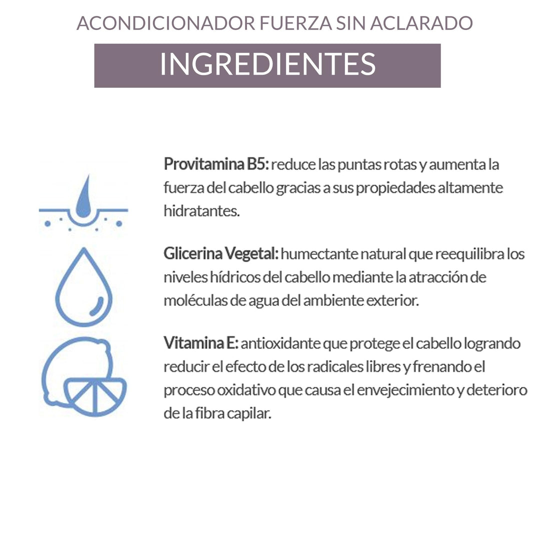 ALEA - Leave-In Conditioner - A-Plex Nº6 Leave-In Repair Conditioner - 250 ml - All Hair Types - Softens, Strengthens, and Hydrates - Anti-Frizz Hair - Heat Protector